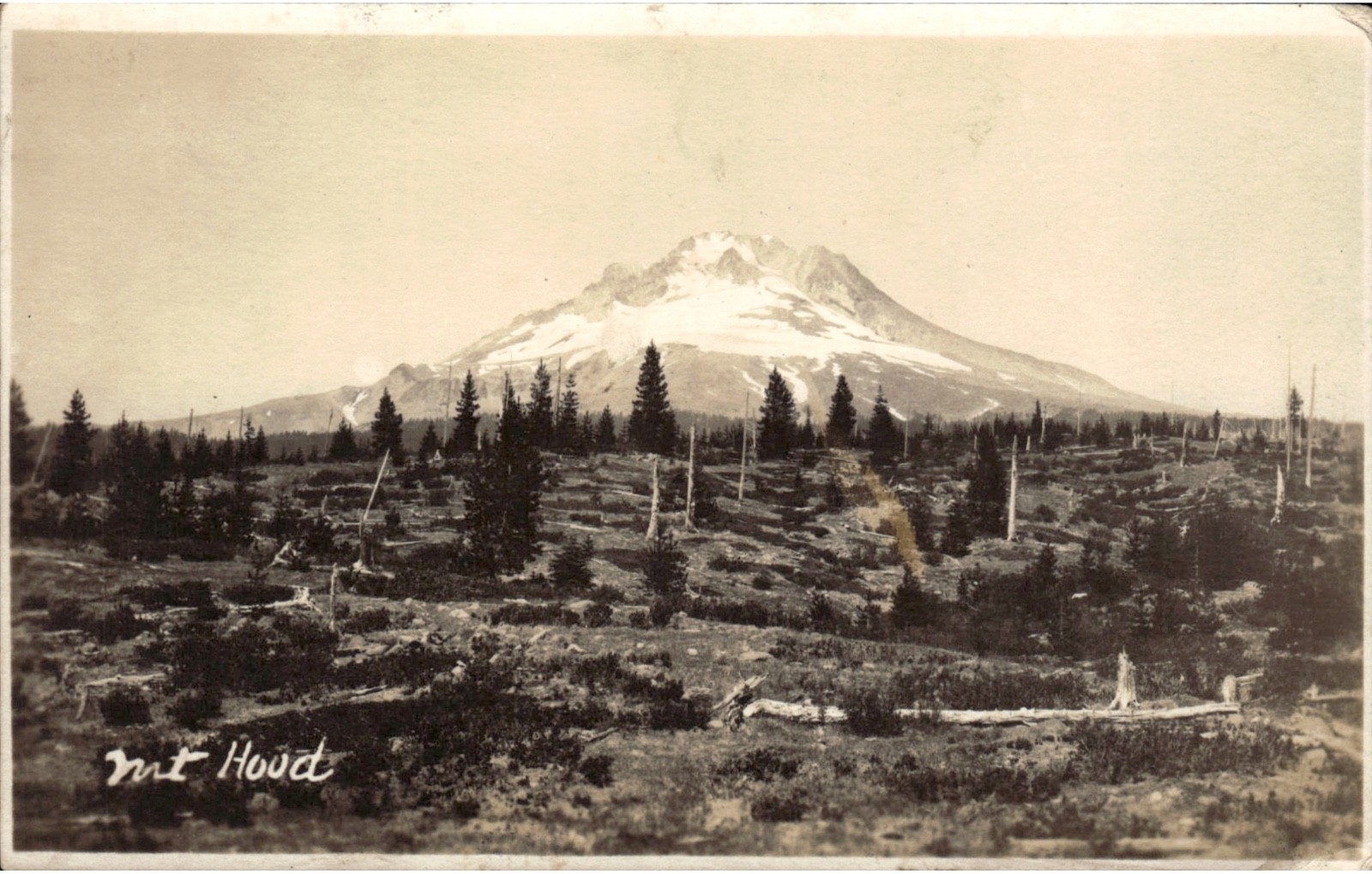 Mount Hood Oregon AZO RPPC Mountain Forest Photo Postcard Mount Hood Oregon AZO RPPC Mountain Forest Photo Postcard