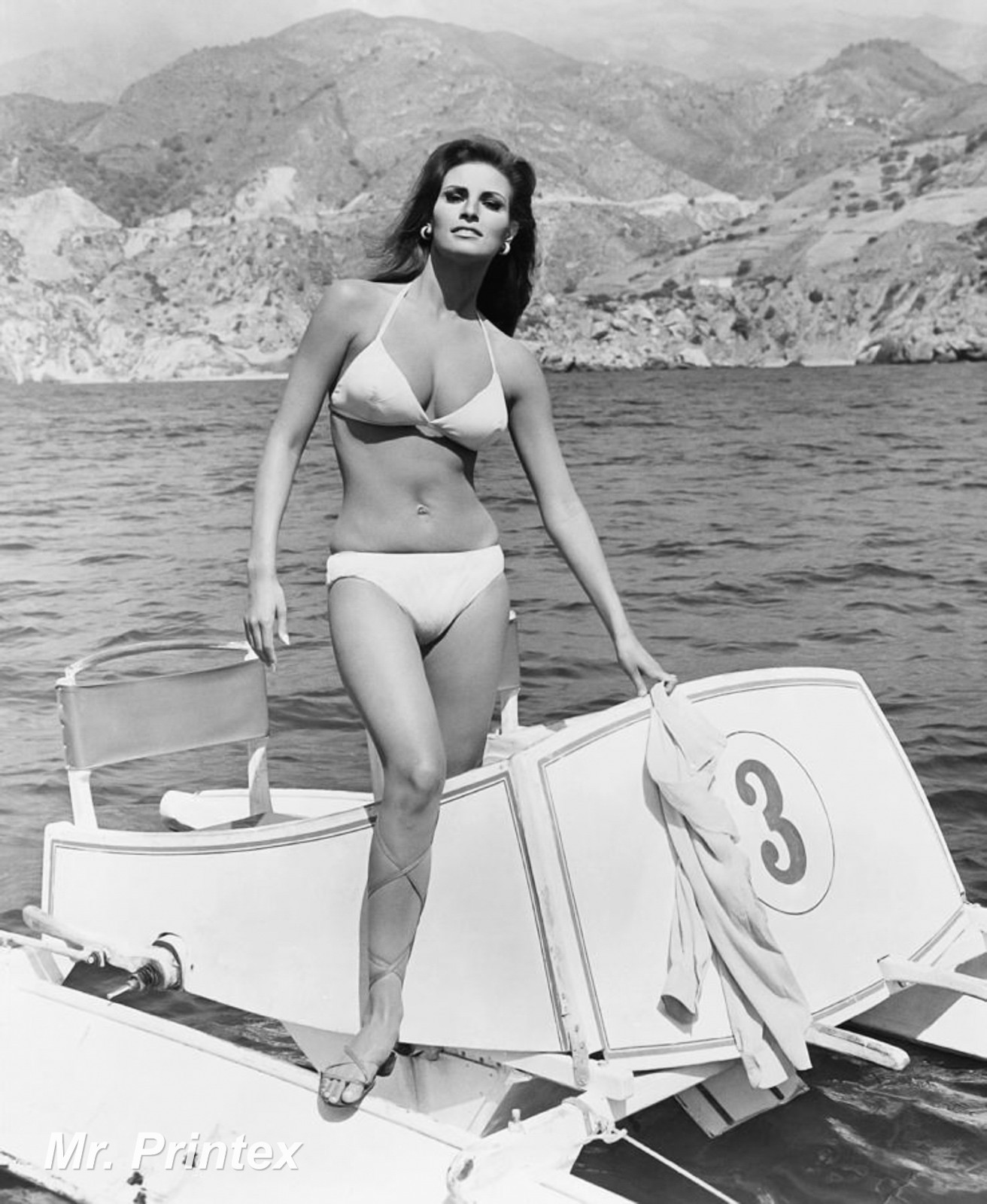 RAQUEL WELCH - Vintage Hollywood Star 8x10 Photo - Classic Studio Portrait