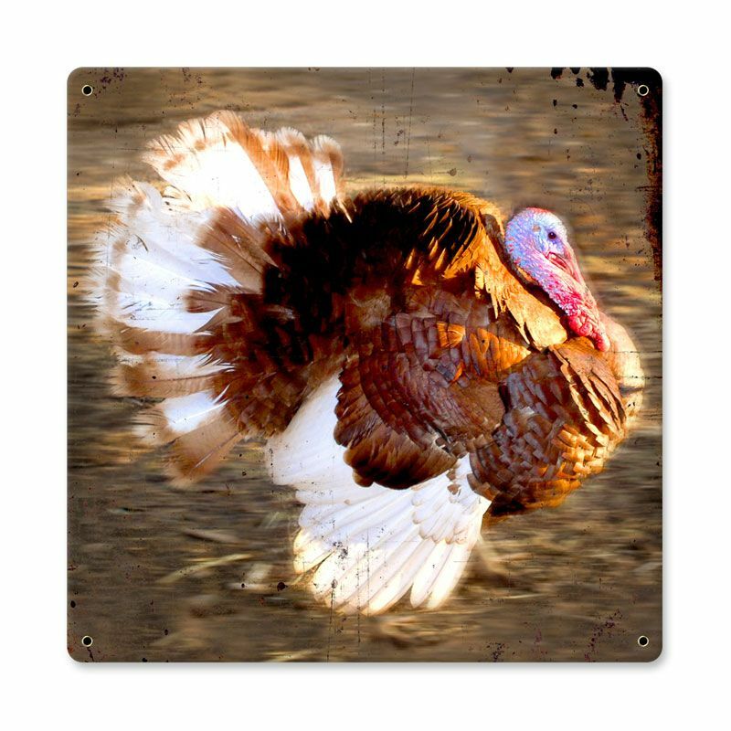 LARGE OL FAT RUNNING TURKEY FARM HOUSE WALL DECOR HEAVY DUTY USA MADE METAL SIGN LARGE OL FAT RUNNING TURKEY FARM HOUSE WALL DECOR HEAVY DUTY USA MADE METAL SIGN