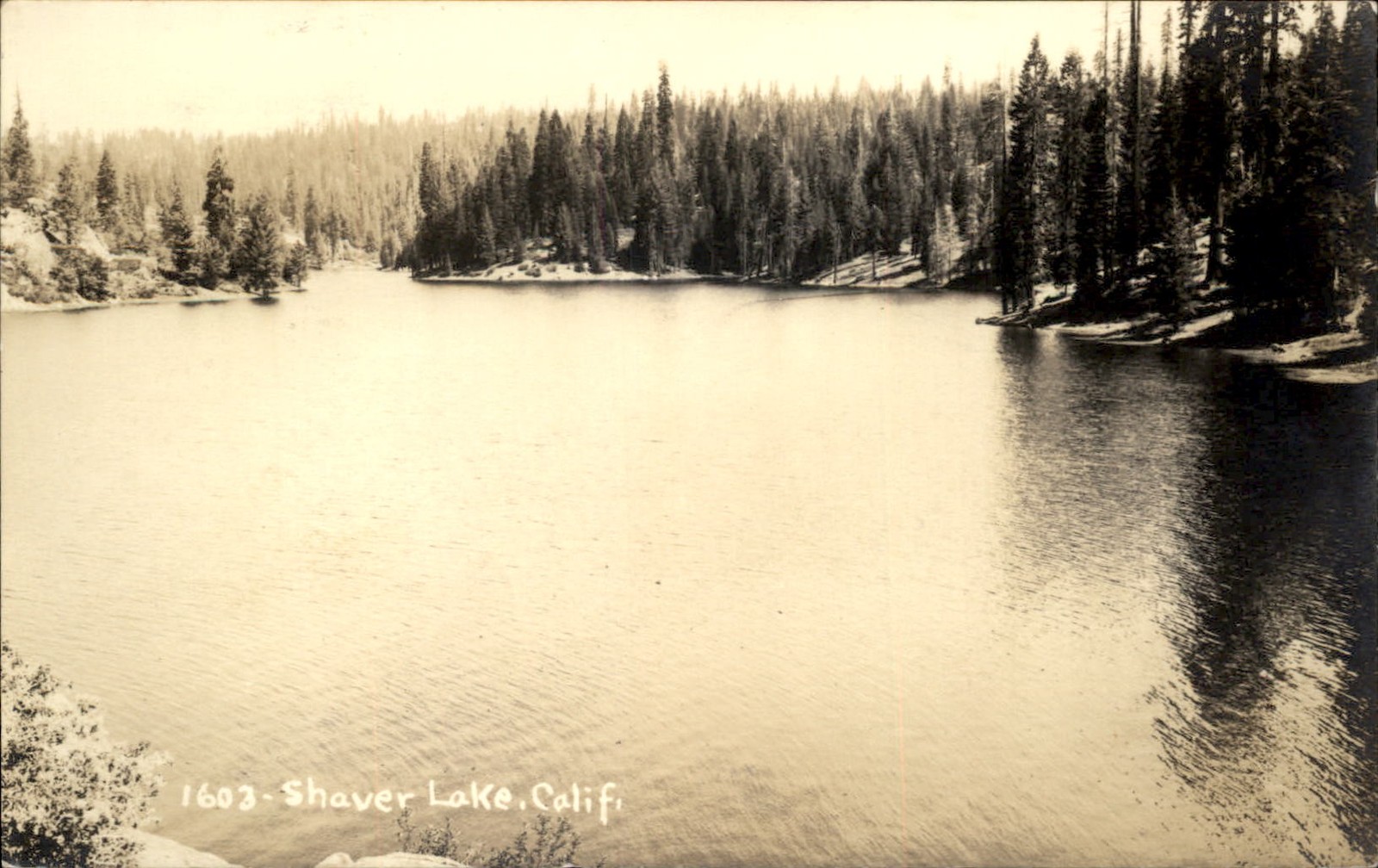 Shaver Lake CA Lake The Parker Studio c1910s Real Photo Vintage Postcard
