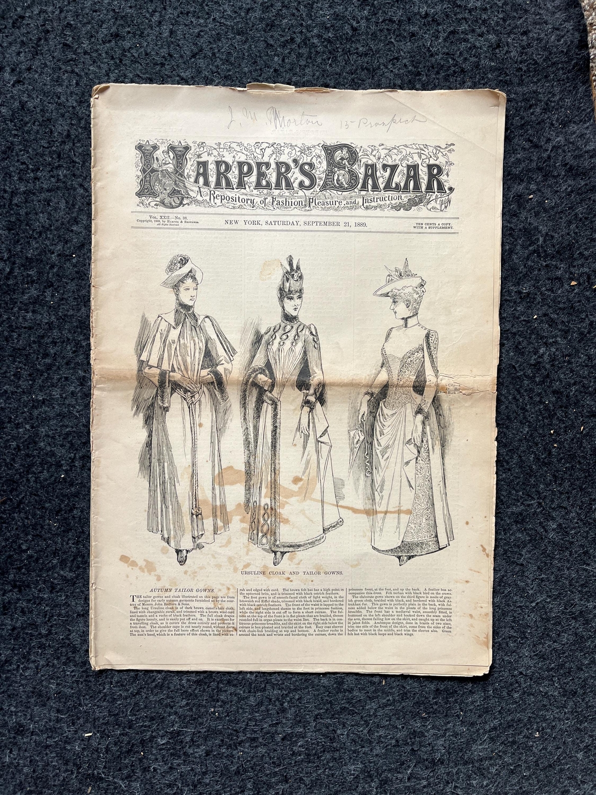 1890s Victorian Era Women\'s Fashion Choices, Petticoats and Corsets, Original V 1890s Victorian Era Women\'s Fashion Choices, Petticoats and Corsets, Original V