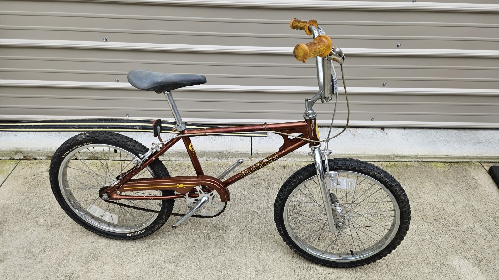 Vintage 1981 Schwinn Scrambler 36/36 Bmx Bicycle Original \ Vintage 1981 Schwinn Scrambler 36/36 Bmx Bicycle Original \