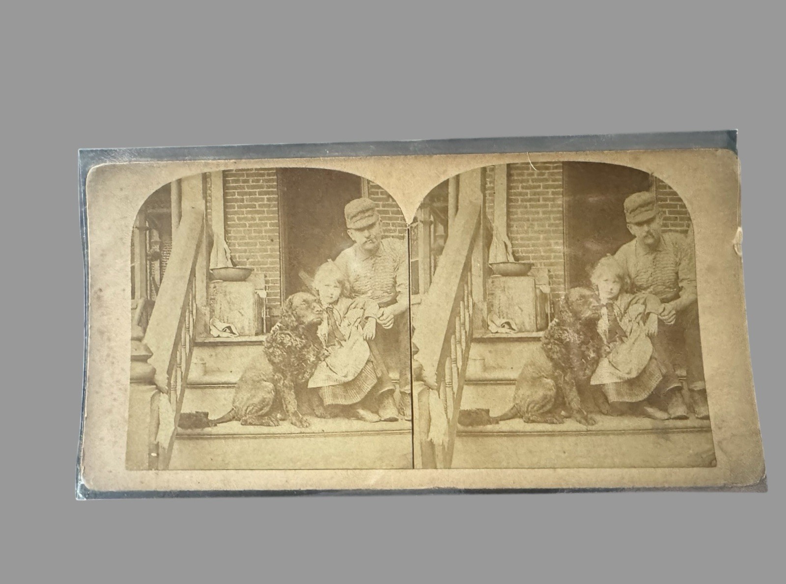 1889 Johnstown Flood Romey Hero Dog Kress Family R.K. Bonine Stereoview #25