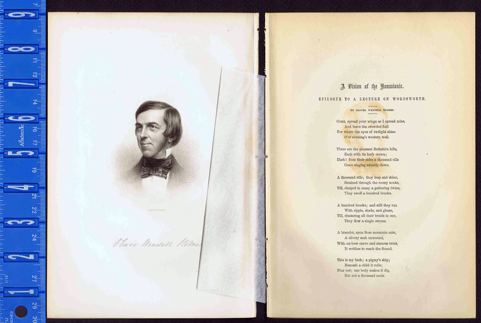 Oliver Wendell Holmes,  Poet Breakfast-Table Series- 1855 Steel Engraved Print