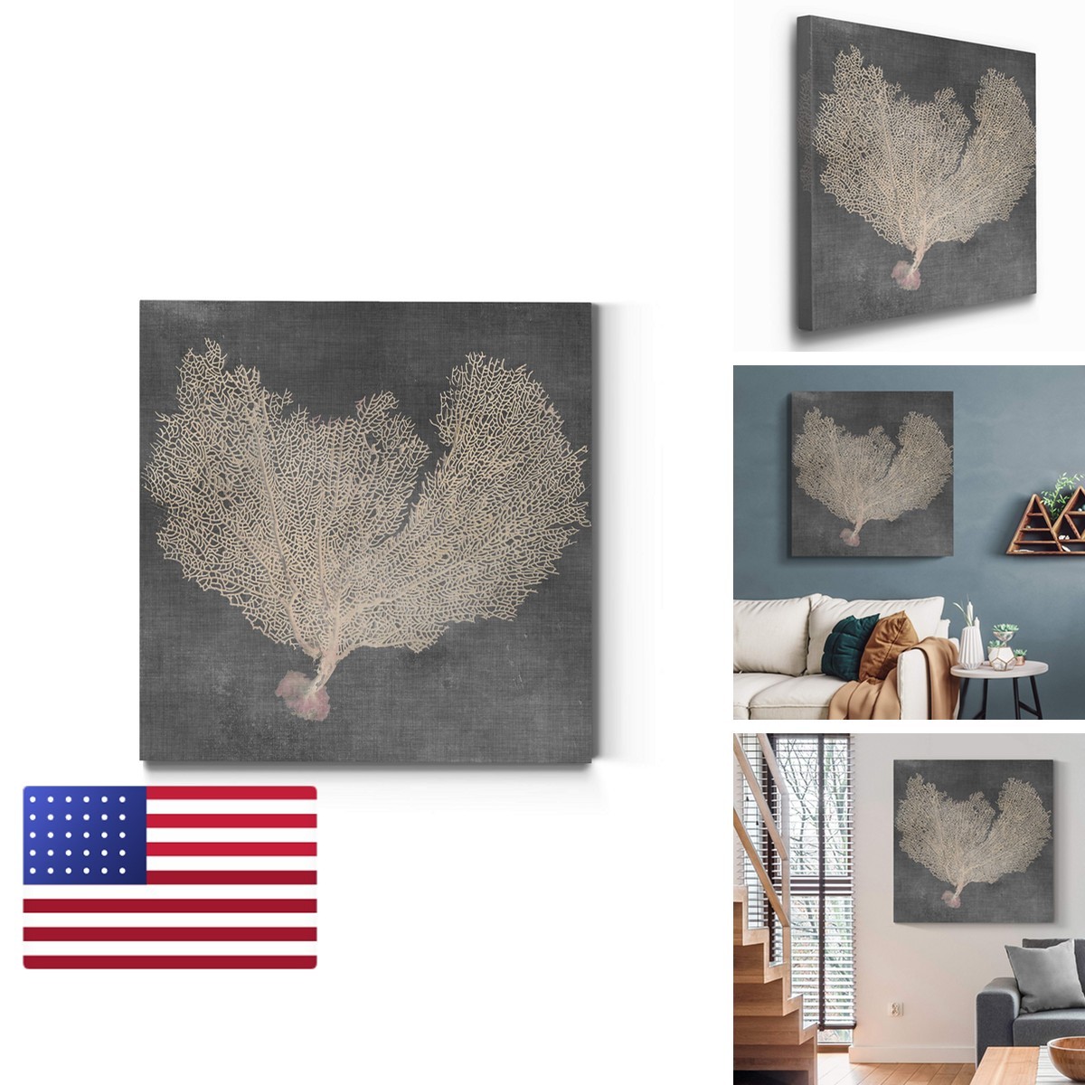 Renditions Gallery Square Canvas Wall Art Natural Sea Fan VI 24x24 Renditions Gallery Square Canvas Wall Art Natural Sea Fan VI 24x24