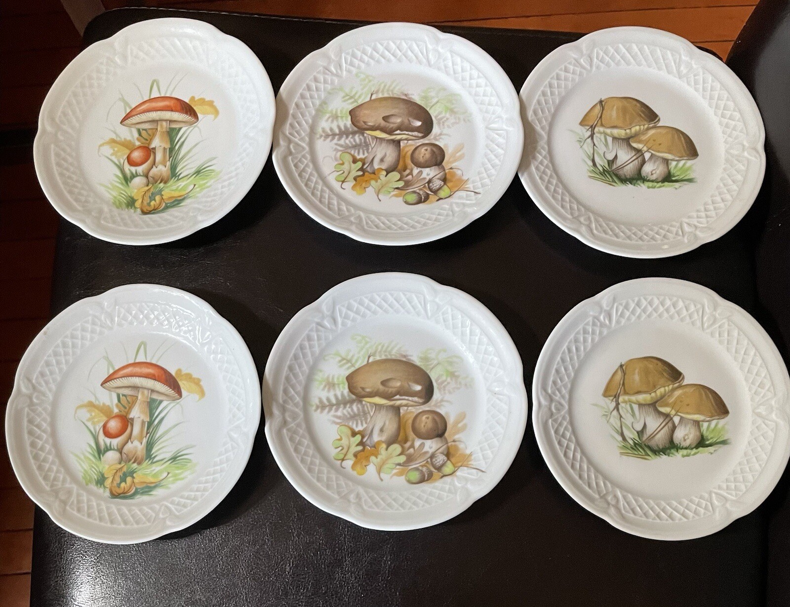 6pcs- Vintage Lourioux Mushroom Plates-Made In France