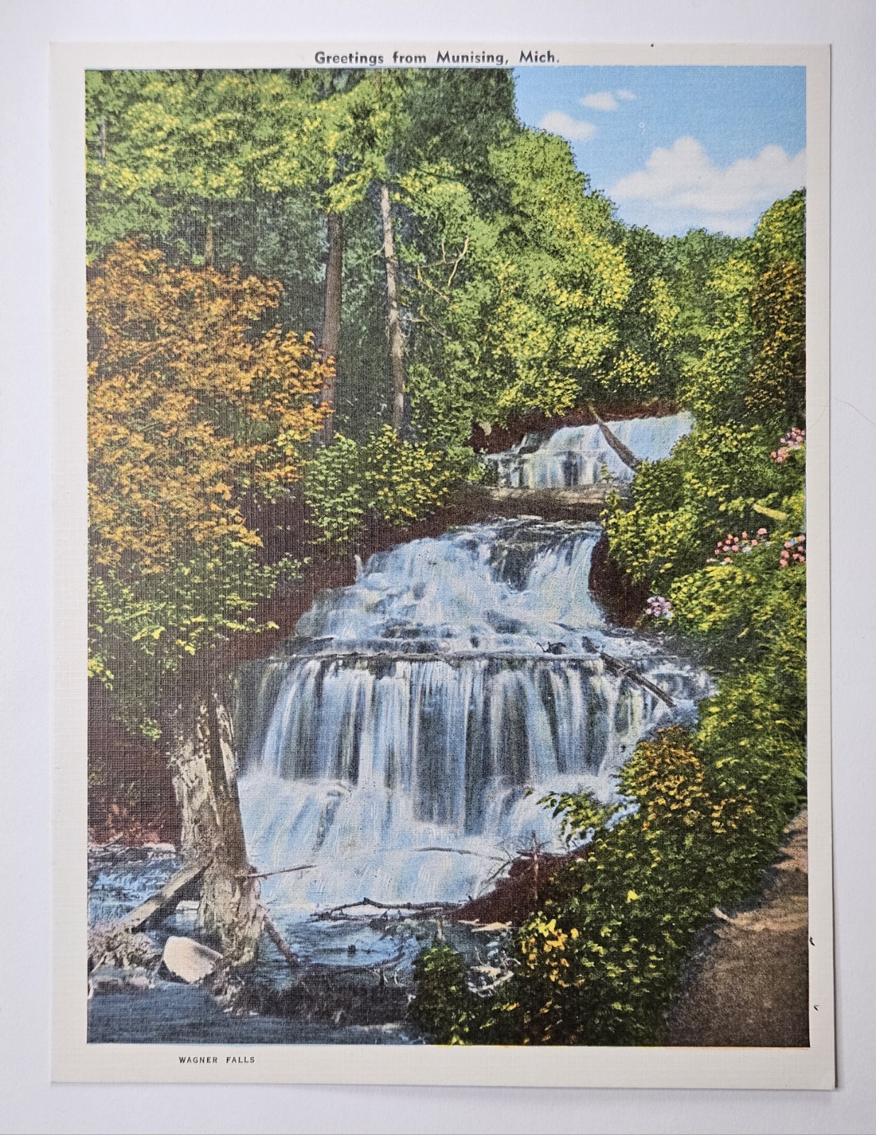 Vintage 40s Wagner Falls Munising Michigan Baby Jumbo Souvenir Postcard EC Kropp Vintage 40s Wagner Falls Munising Michigan Baby Jumbo Souvenir Postcard EC Kropp