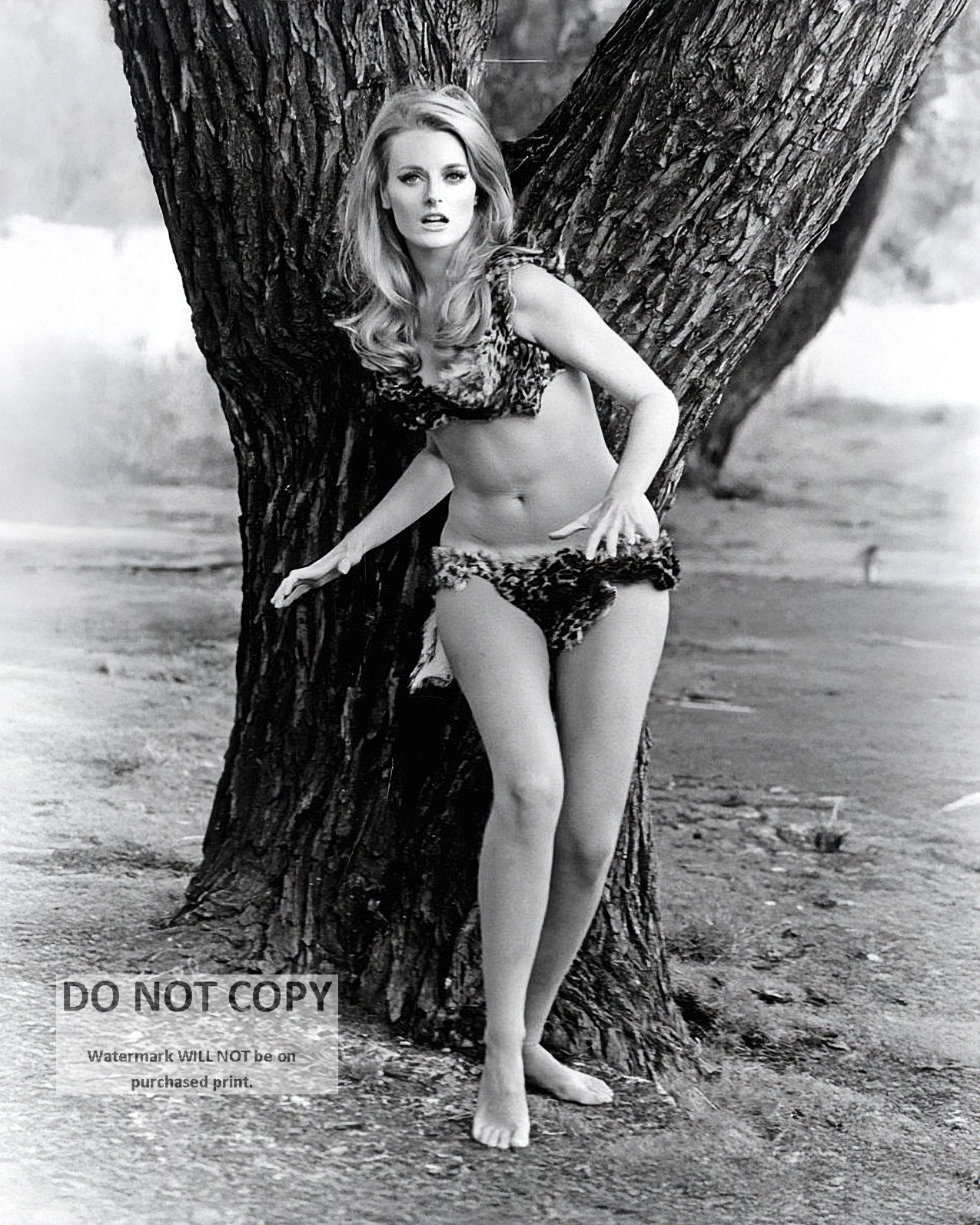 CELESTE YARNALL IN \