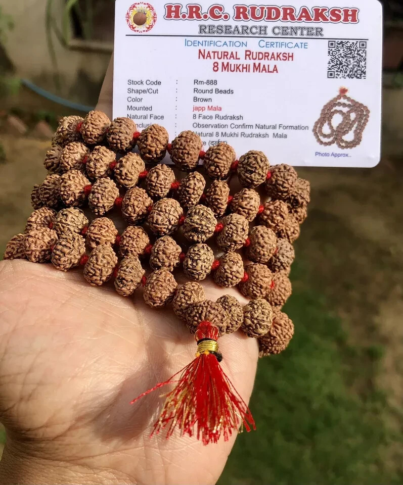LAB CERTIFIED Rare 8 Mukhi RUDRAKSHA Rudraksh Mala ROSARY 108+1 Prayer Beads LAB CERTIFIED Rare 8 Mukhi RUDRAKSHA Rudraksh Mala ROSARY 108+1 Prayer Beads