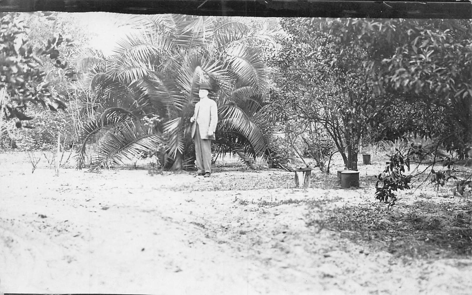 J79/ St Petersburg Florida RPPC Postcard c1910 Man Palms Garden 132
