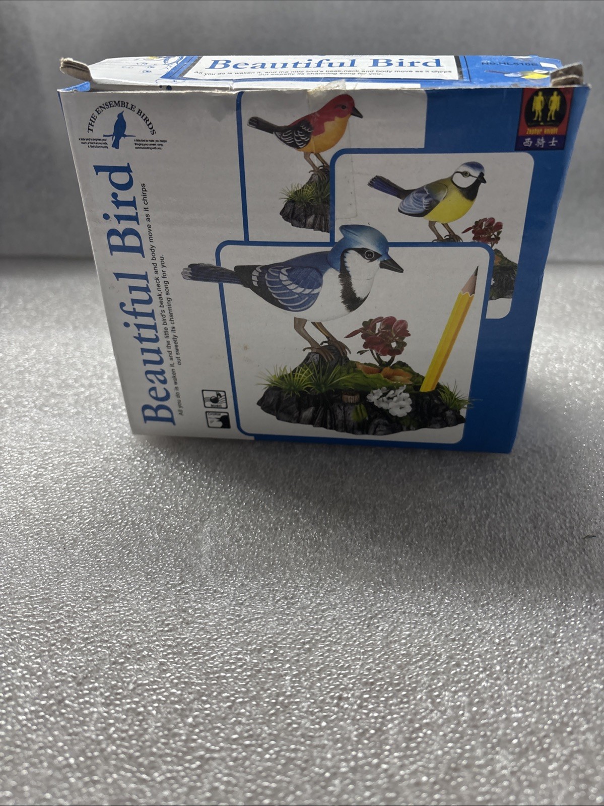 The Ensemble Birds Beautiful Bird The Ensemble Birds Beautiful Bird