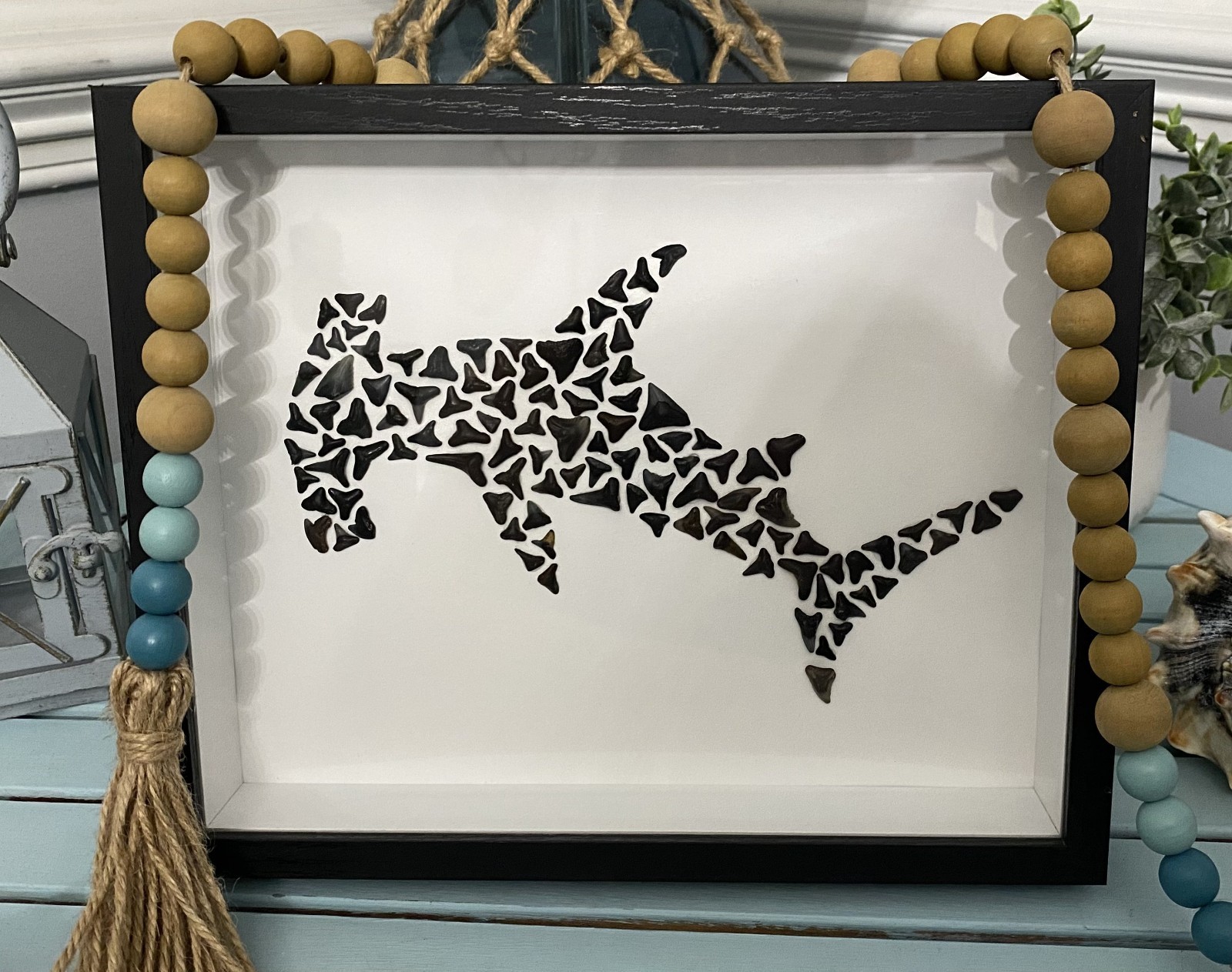 Hammerhead Shark Tooth Fossil Art, Coastal Shadow Box Decor