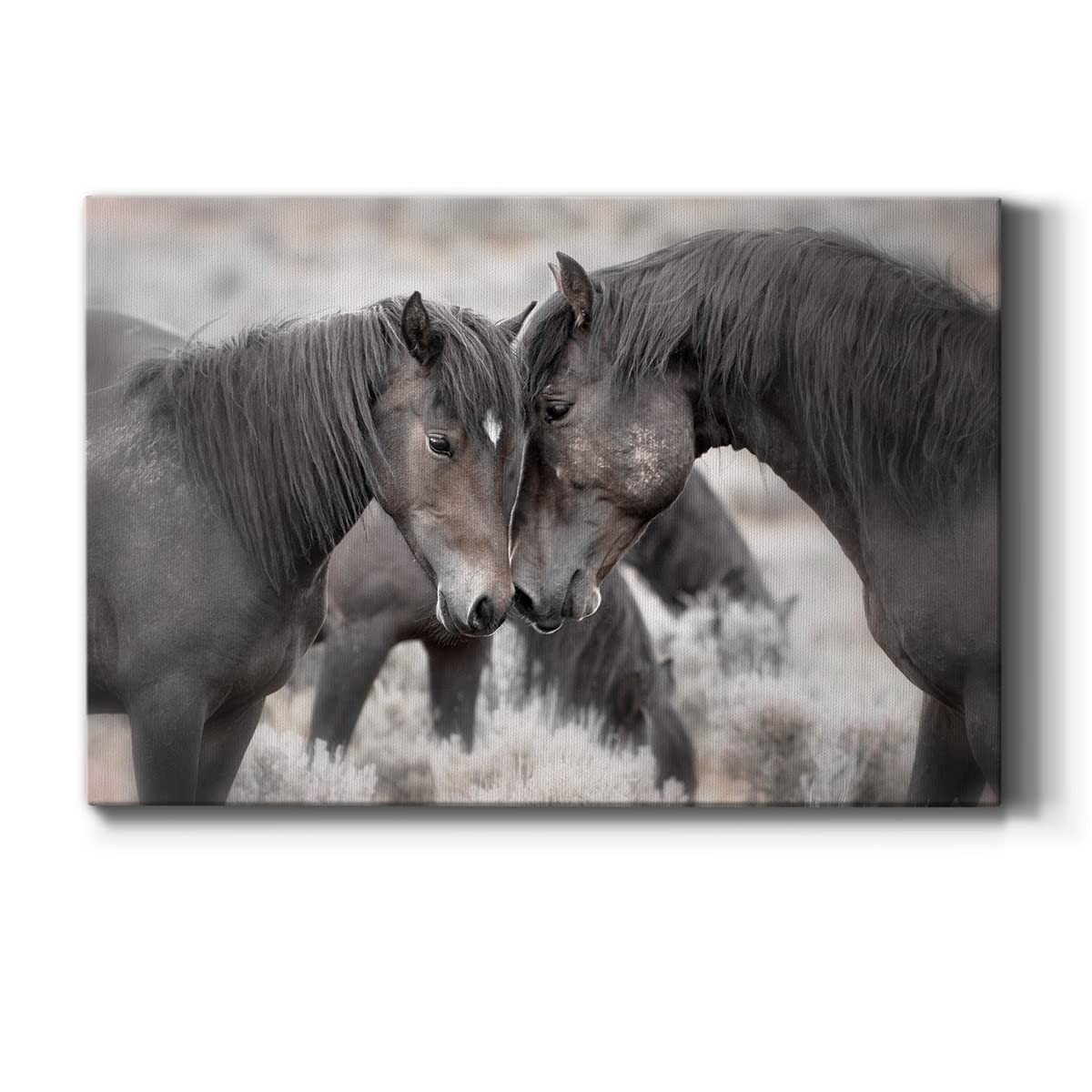 Renditions Gallery Wild Horses Black and White Canvas Wall Art 18\