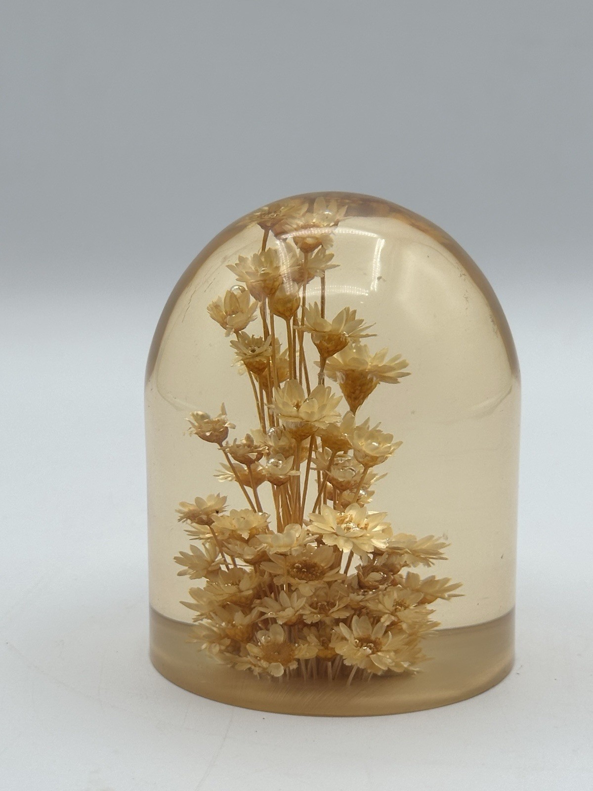 Daisyglas 3” Lucite Dried Straw Flower Paperweight 1970s Vintage Retro Boho