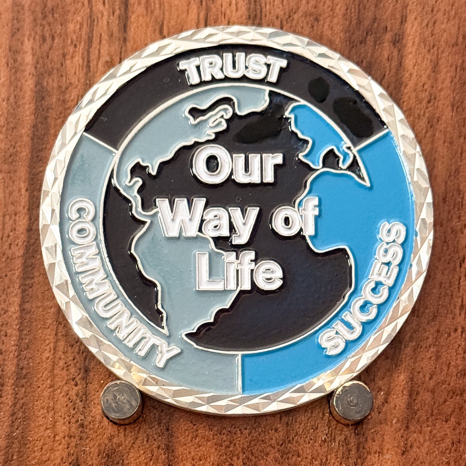 NTT Data Global Trust Excellence World Map Award Challenge Coin 1#38 NTT Data Global Trust Excellence World Map Award Challenge Coin 1#38