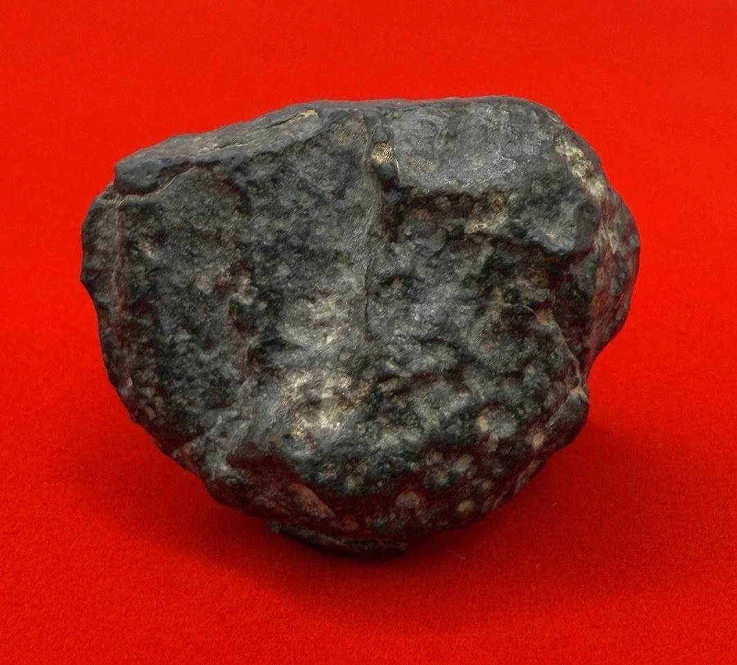 NWA 869 Meteorite, Chondrite Meteorite, Astronomy Gift, Space, 27.65 Grams NWA 869 Meteorite, Chondrite Meteorite, Astronomy Gift, Space, 27.65 Grams