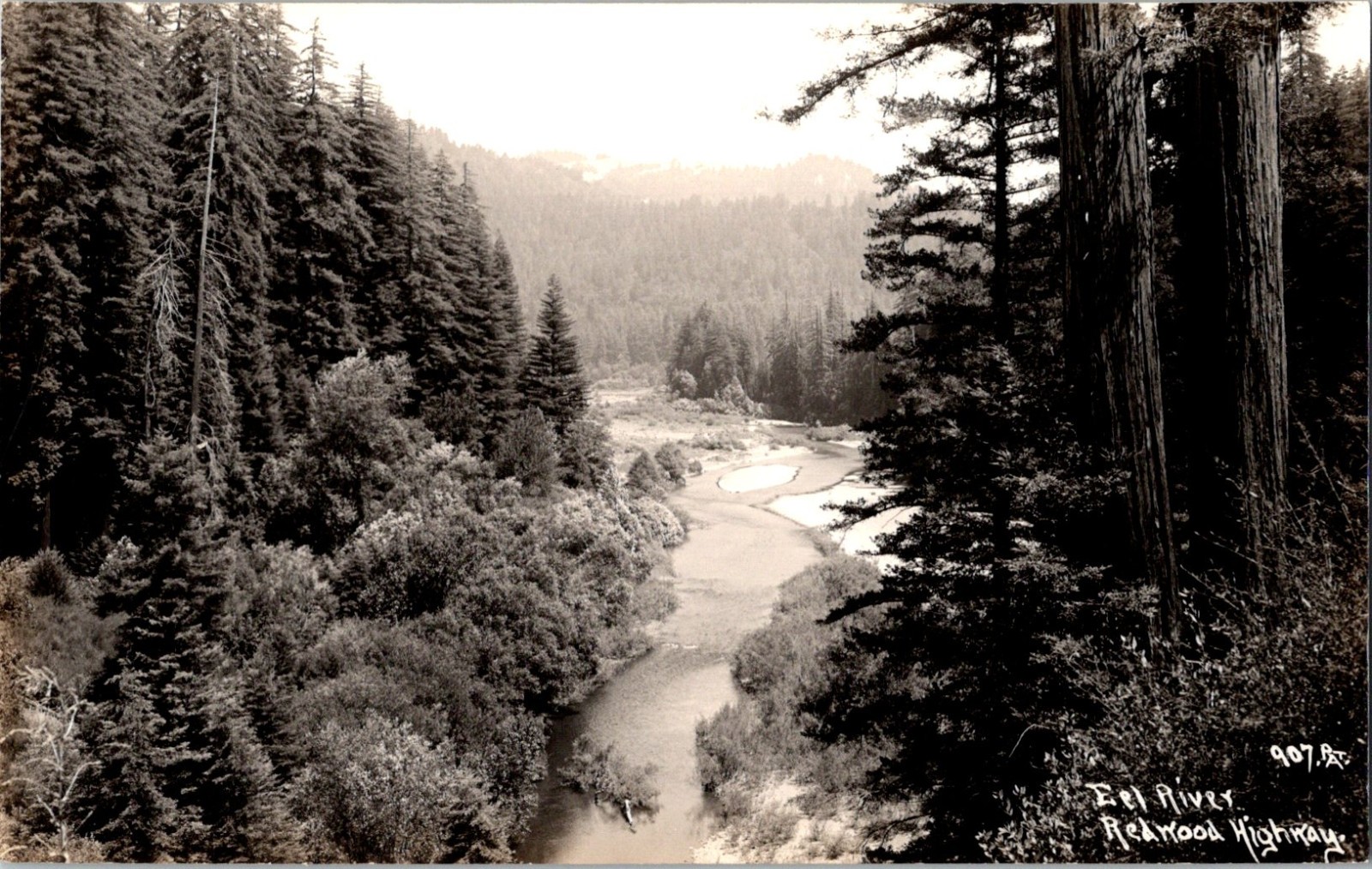 Aerial Eel River Redwood Highway California c1930s RPPC Postcard