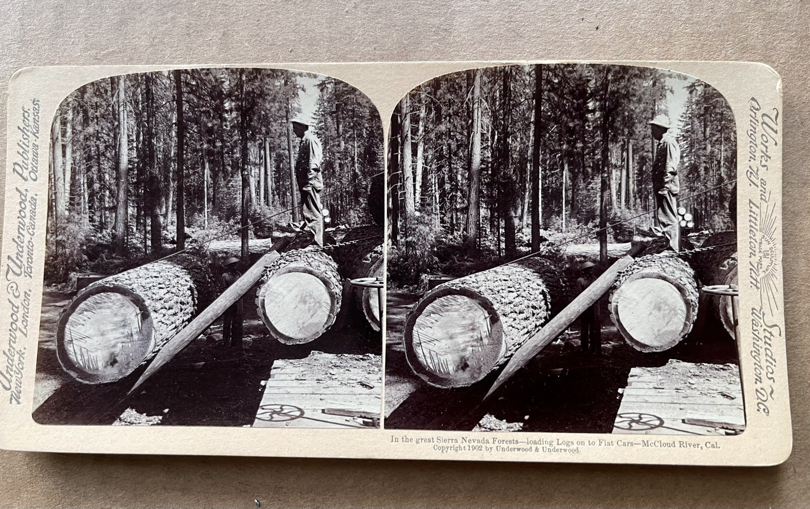 1902 Underwood Stereoview McCloud River California Logging Train Flat Car Mint 1902 Underwood Stereoview McCloud River California Logging Train Flat Car Mint