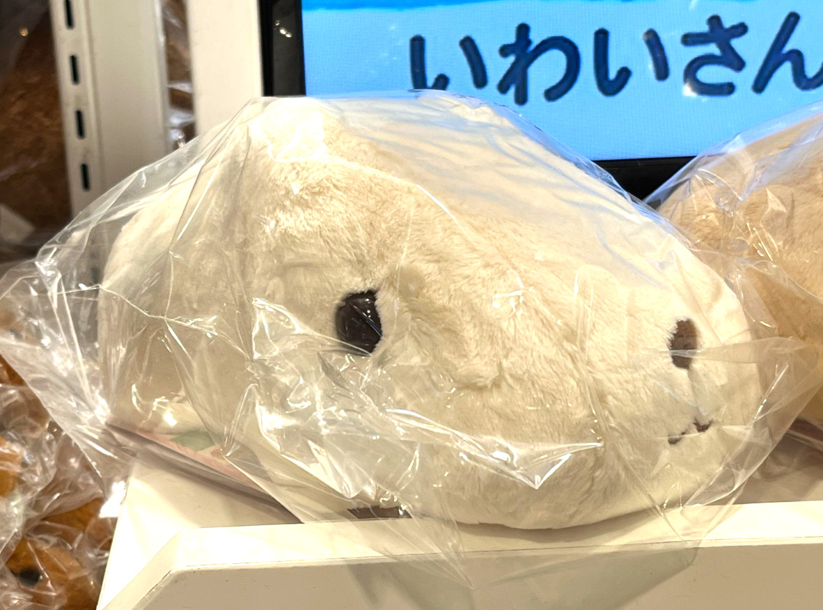 Kapibara-san White-san Kapibarasan Kyurutto Craft Plush Toy H11cm×W12cm×D20cm JP
