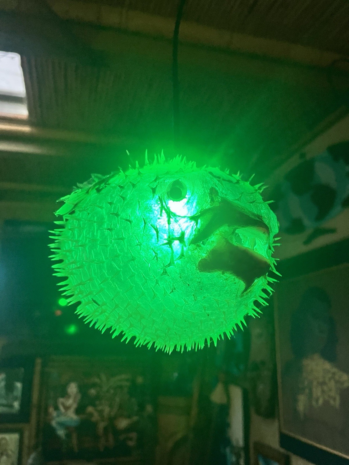 NEW 10”-11” Pufferfish Lamp w/Green LED Tiki bar Oceanic Smokin’ Tikis