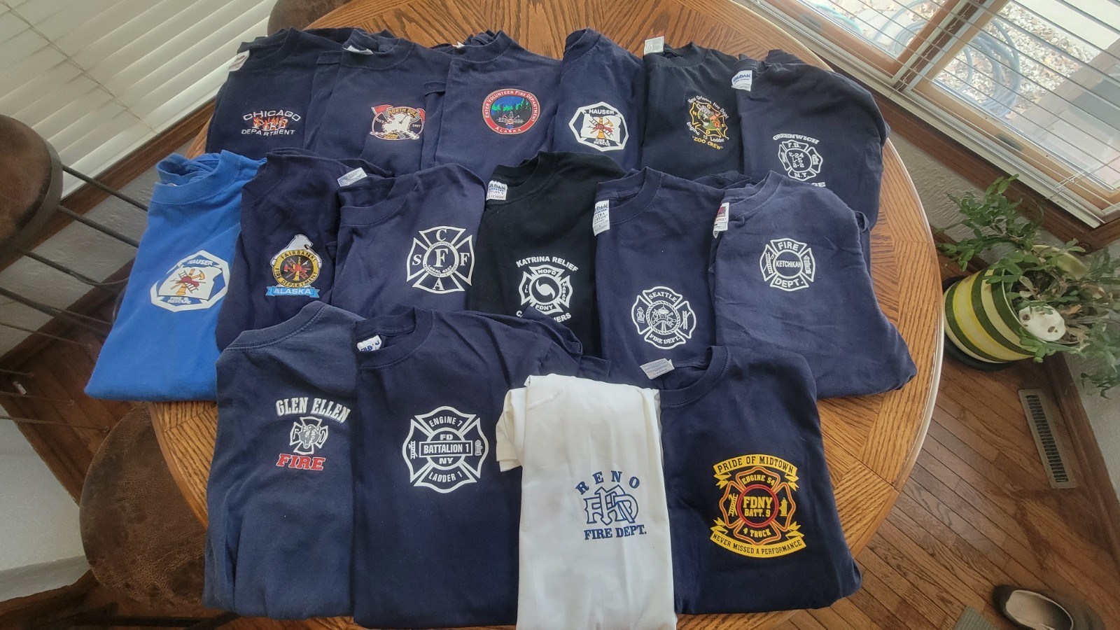 Lot of 16 Fire Dept T Shirts From Various States