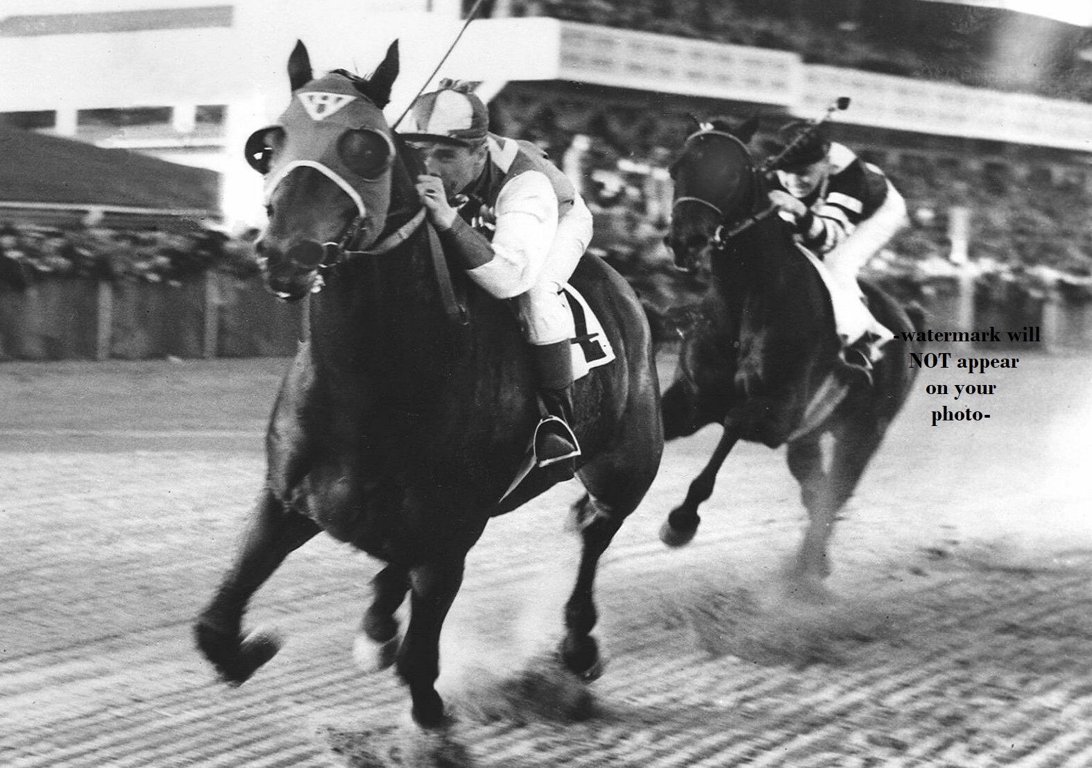1938 Seabiscuit vs War Admiral PHOTO Horse Race Racing Epic Racetrack Battle 1938 Seabiscuit vs War Admiral PHOTO Horse Race Racing Epic Racetrack Battle