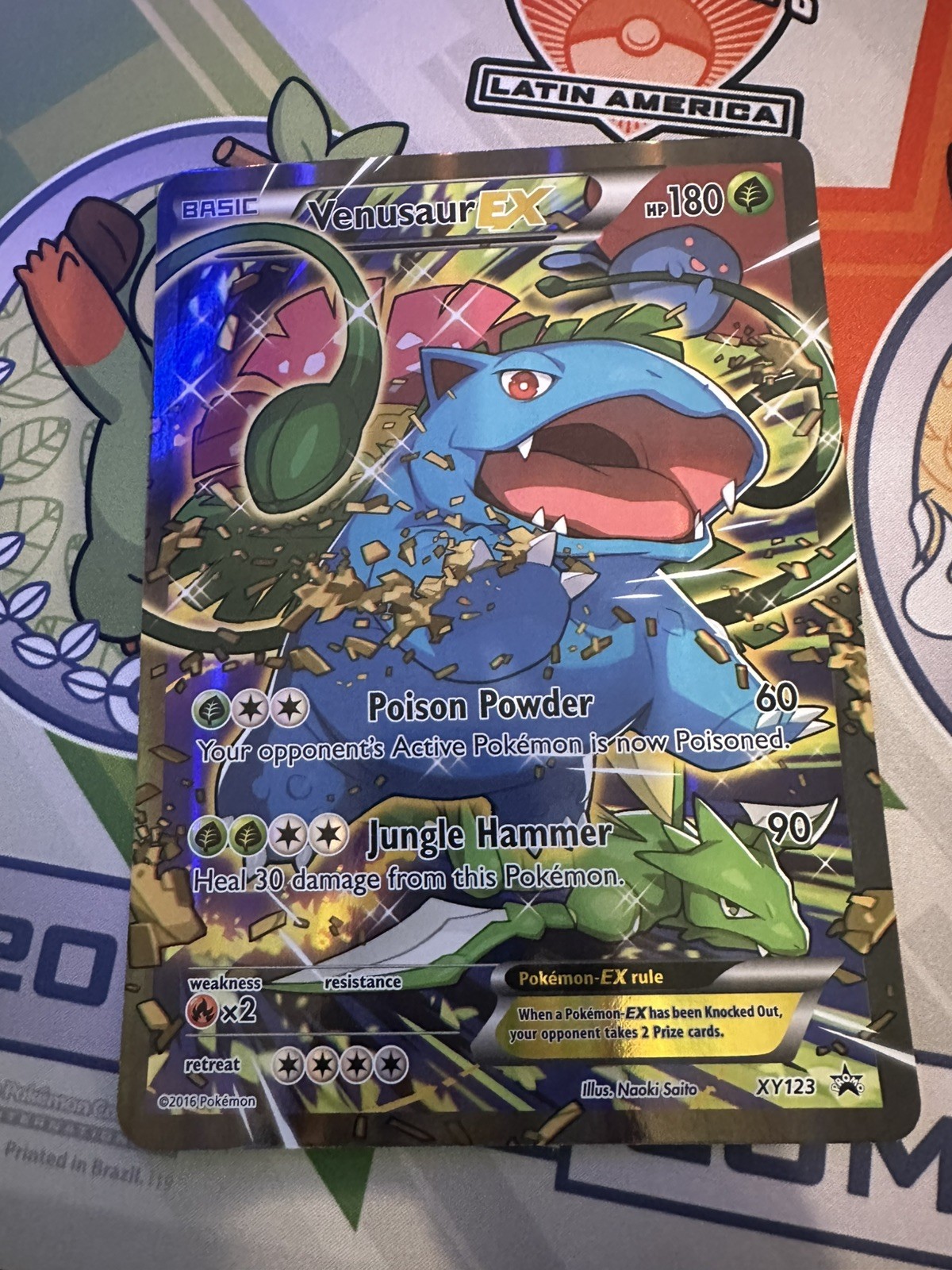 Pokemon TCG Venusaur EX XY123 Promo Holo English 2016 Black Star Jumbo