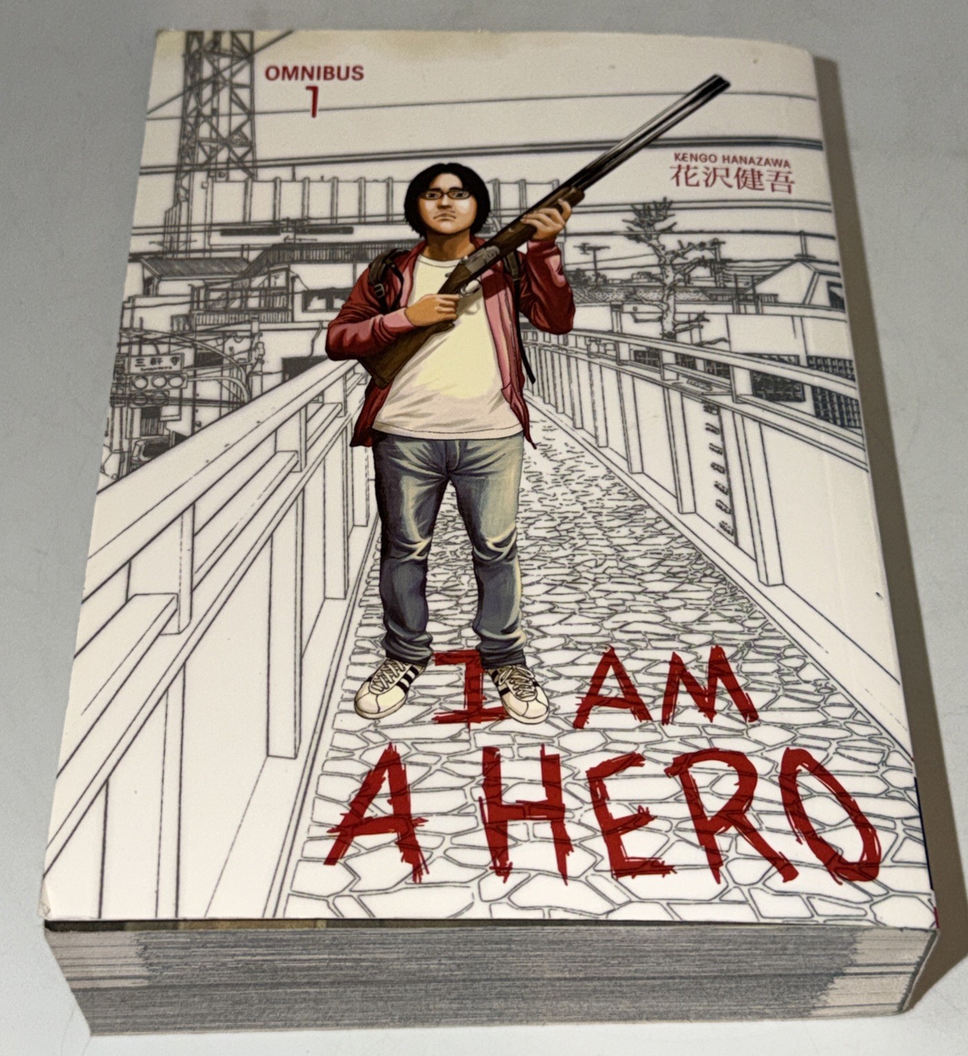 Dark Horse I Am a Hero Omnibus Vol 1 Horror Manga English by Kengo Hanazawa