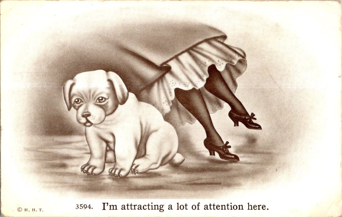 Vintage Postcard- H.H.T. - puppy- 3594. I'm attracting a lot of attention here.