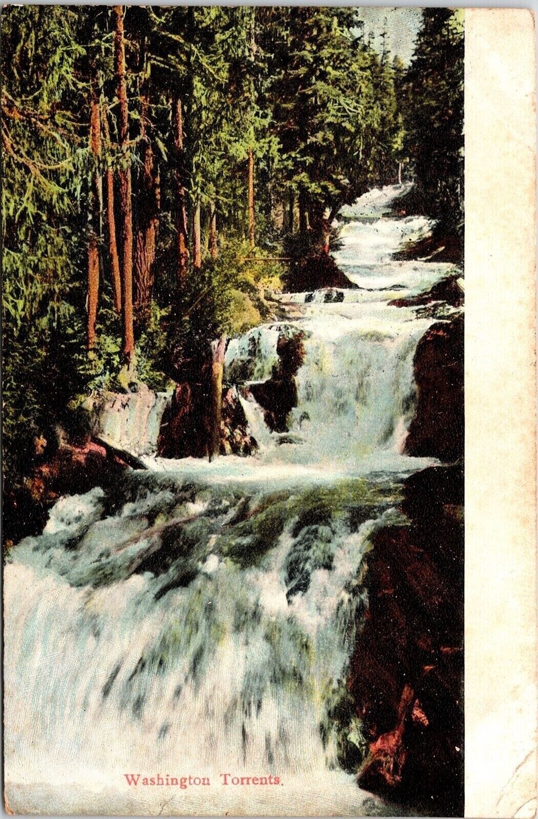 Washington Torrents River Rapids Forest Cancel 1908 Antique PM Vintage Postcard