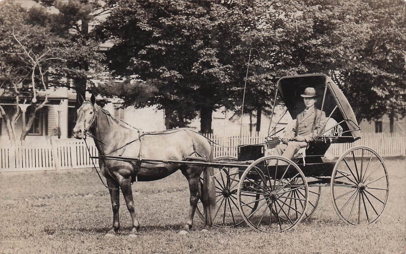 Chester Roberts Heyworth Illinois Poultry Dealer Horse Buggy Photo Postcard 17A