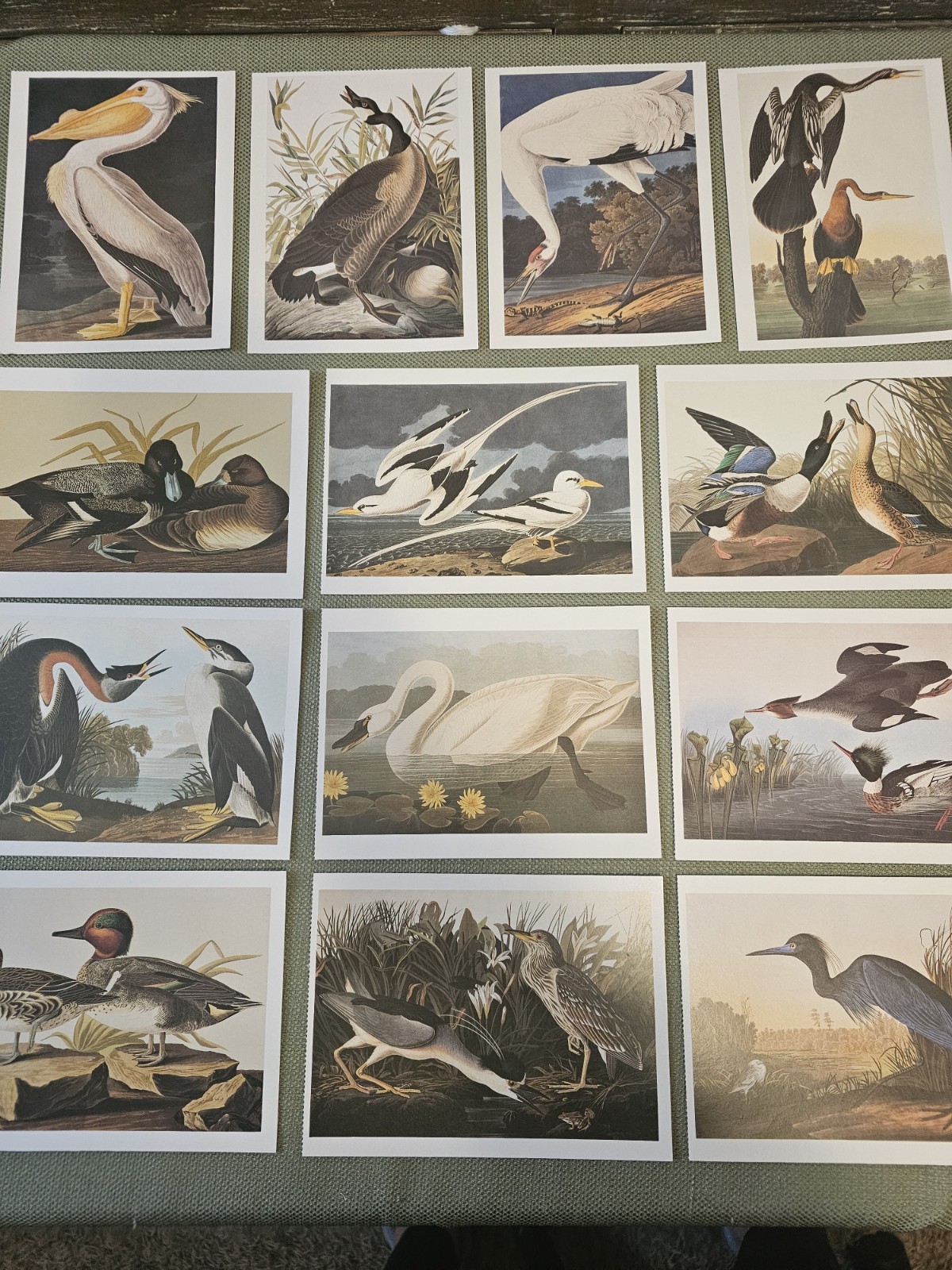 Audubon Birds Of America Postcards Waterfowl Duck Crane Heron Swan Pelican More Audubon Birds Of America Postcards Waterfowl Duck Crane Heron Swan Pelican More