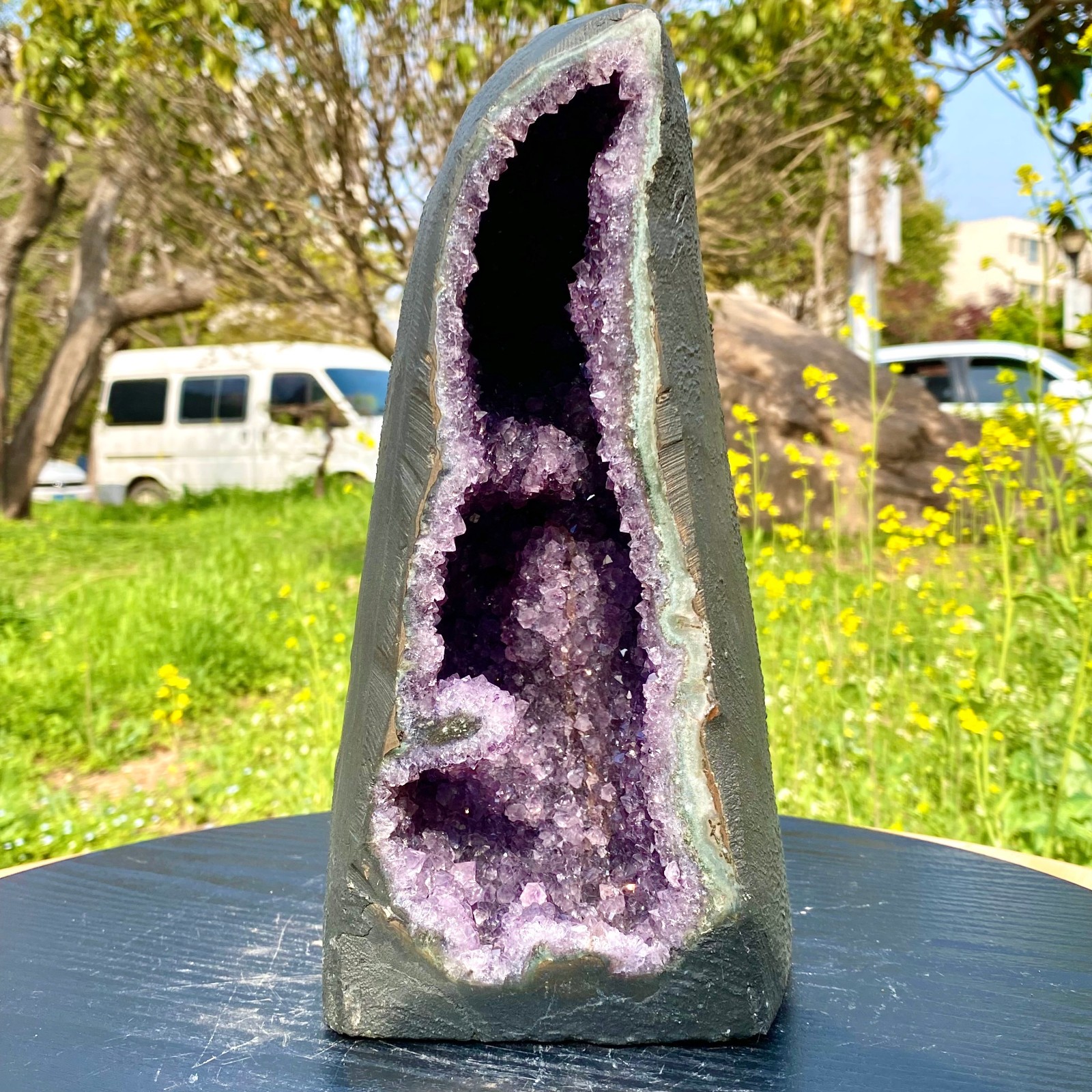 11.76LB Top Natural Amethyst Crystal Church Cathedral Geode Mineral Specimen.