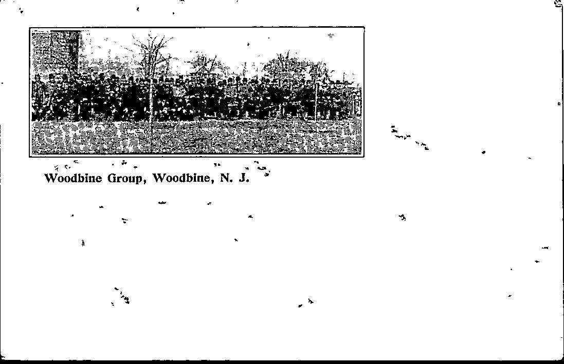 Vintage Woodbine Group, Woodbine, NJ pc with photo of group Vintage Woodbine Group, Woodbine, NJ pc with photo of group