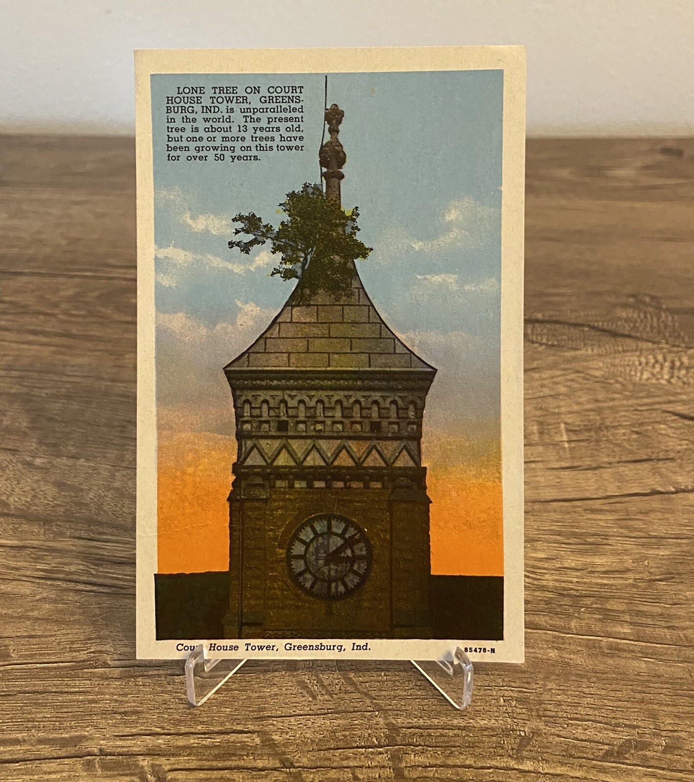 VTG Lone Tree On Court House Tower Greensburg Indiana Postcard Graphic
