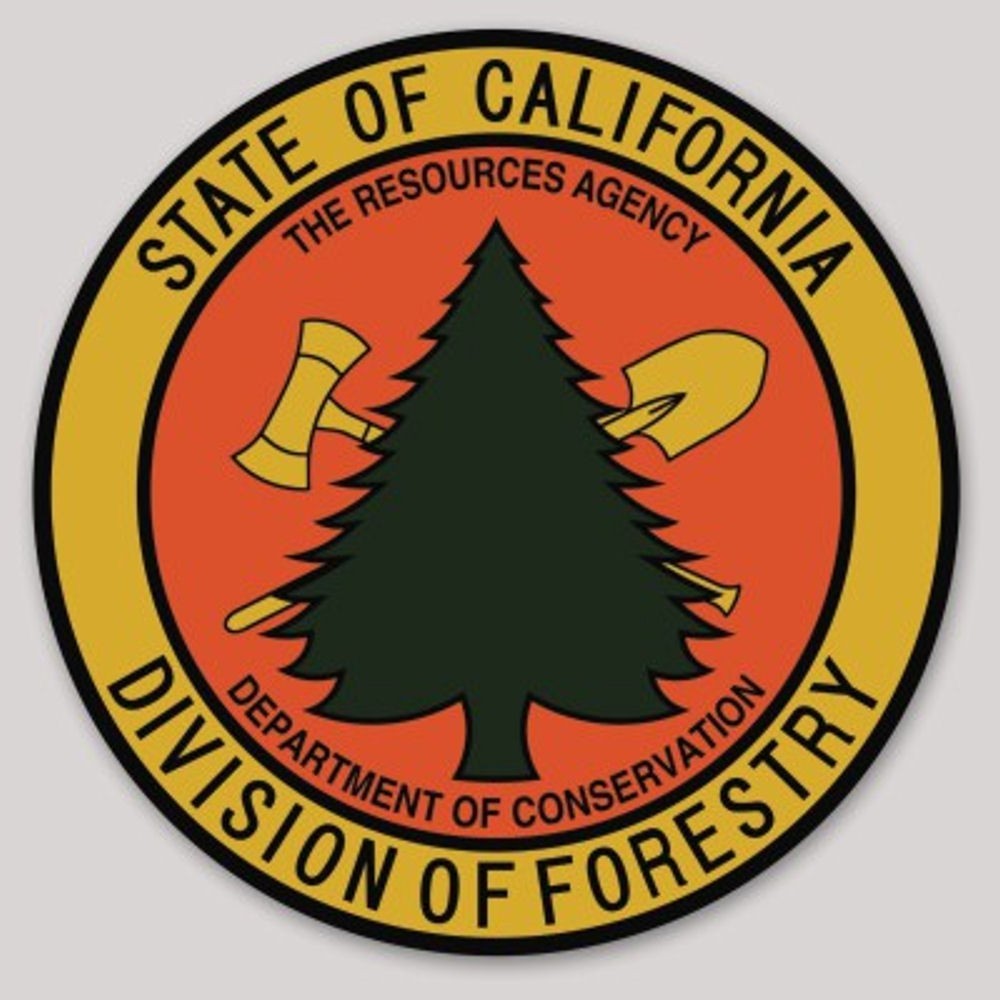 California Division of Forestry Round Vinyl Sticker Decal 9 x 9 Inch Non Reflect