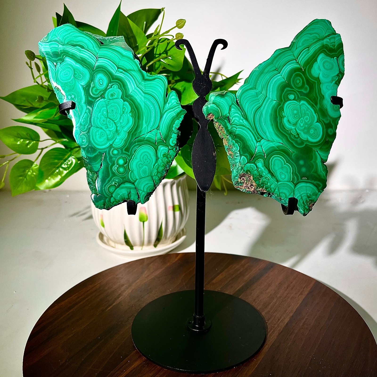 2.73lb Natural malachite  Butterfly Wings Crystal Healing Reiki Art+shelf