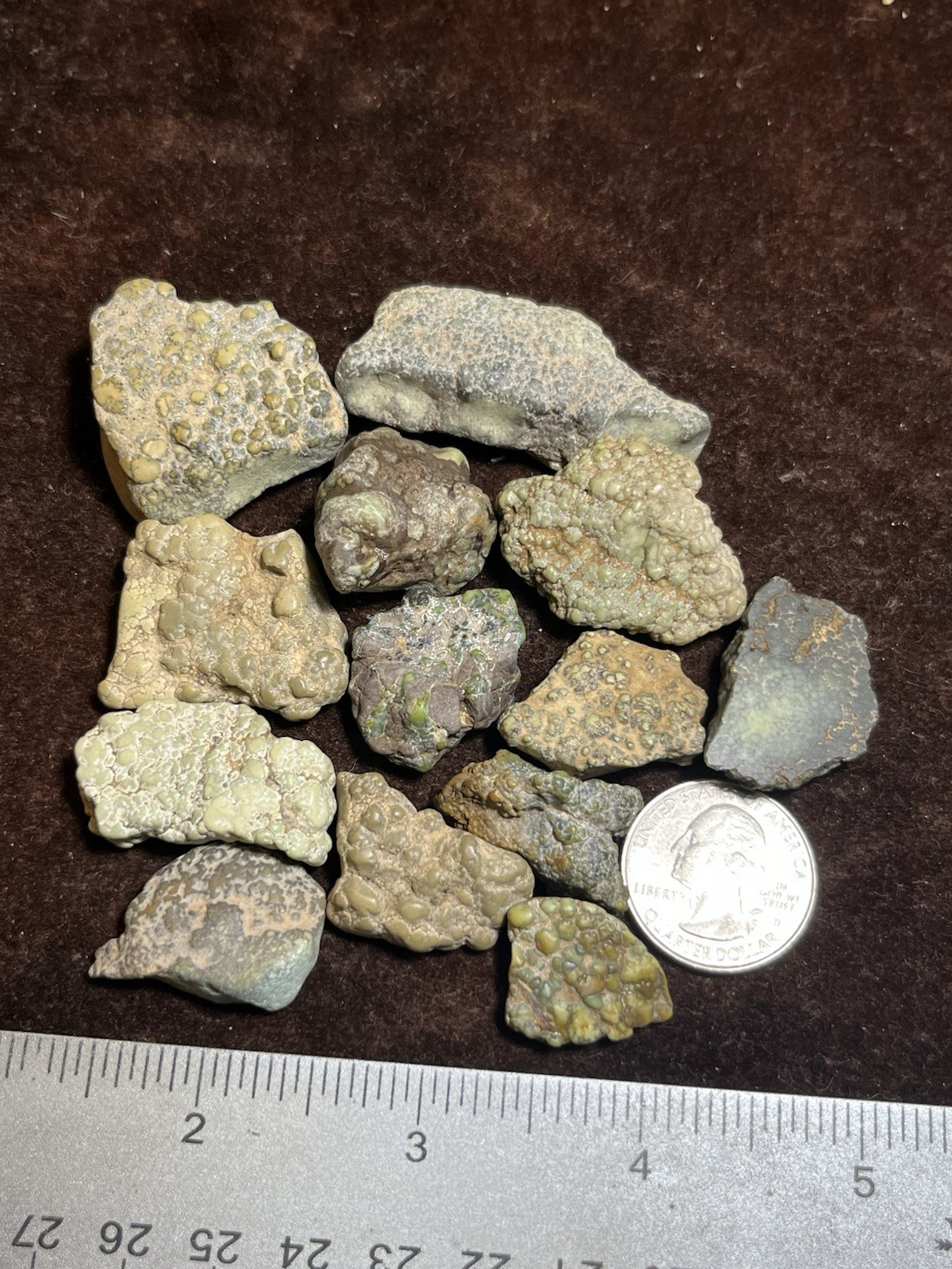 Damele Turquoise Rough 101g Natural Rare Nevada Gemstone Damale Nuggets