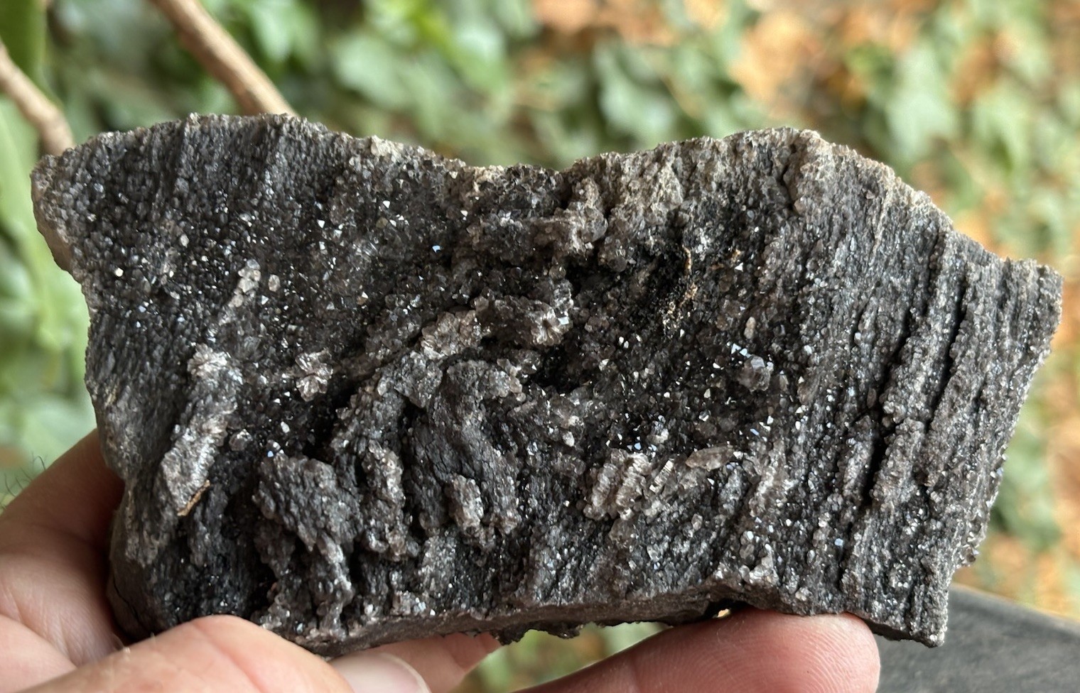 ☘️RR⛏️: Druzy Sparkly Smoky Quartz Arizona Petrified Wood, 10.3 Oz. ☘️RR⛏️: Druzy Sparkly Smoky Quartz Arizona Petrified Wood, 10.3 Oz.