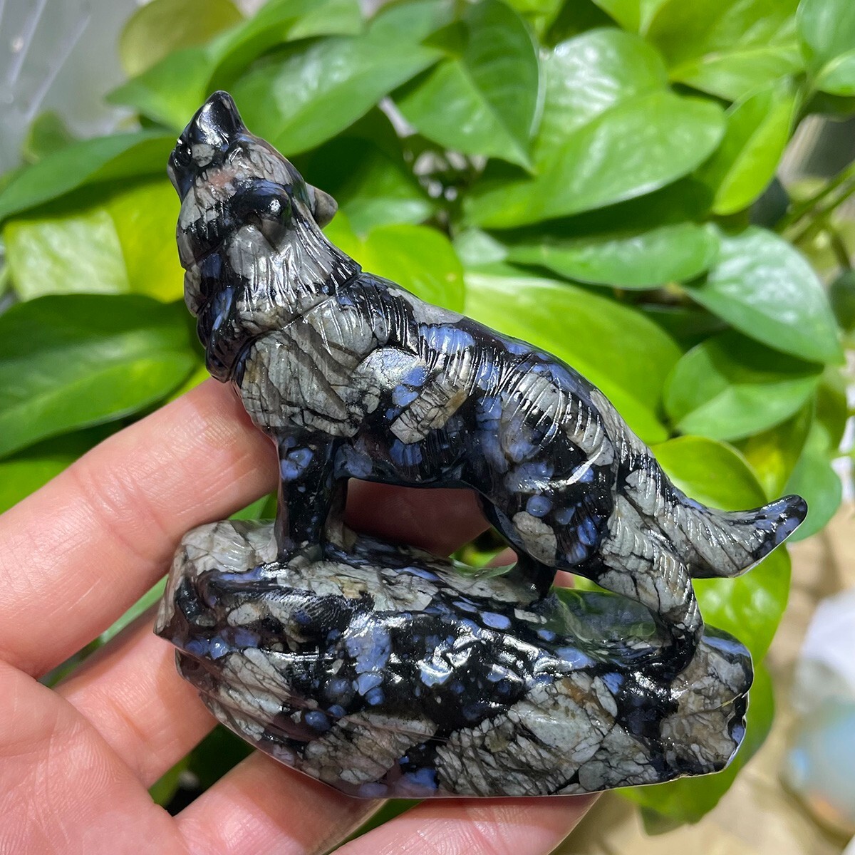 Llanite Wolf Natural Crystal Hand Craved Healing Stone Que Sera Stone Wolf Reiki Llanite Wolf Natural Crystal Hand Craved Healing Stone Que Sera Stone Wolf Reiki