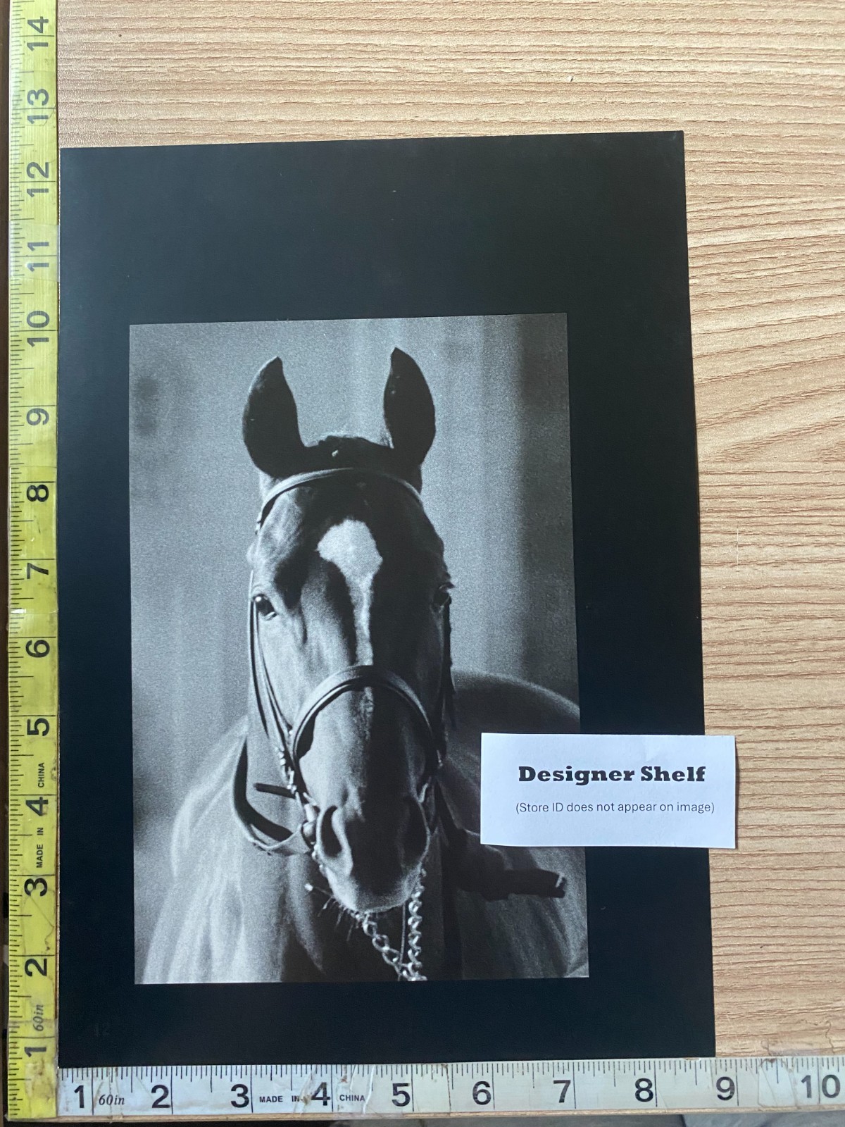 Affirmed Thoroughbred Race Horse Hollywood Derby 1978 K Barrett Book Photographs