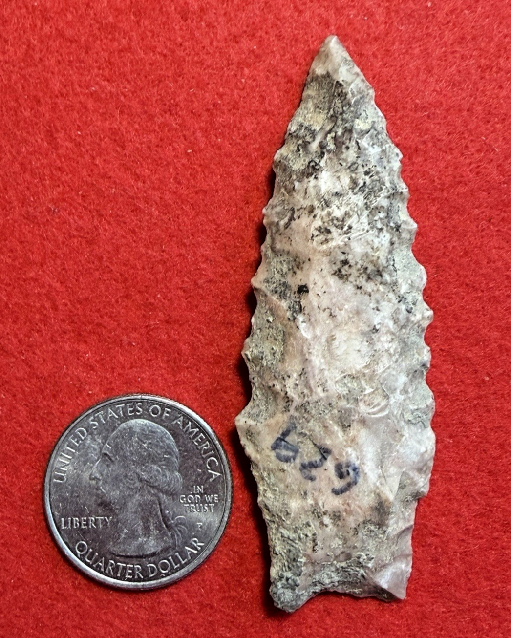MW-01 Serrated Searcy Dalton Paleo 2 7/8\ MW-01 Serrated Searcy Dalton Paleo 2 7/8\