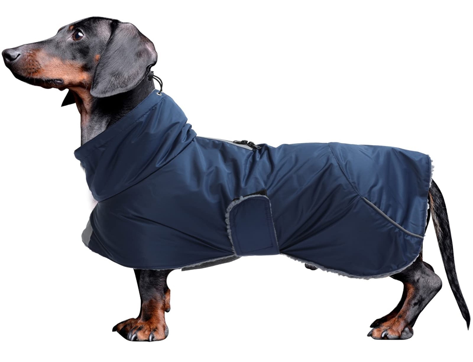 Dachshund Coats Waterproof, Perfect for Dachshunds, Sausage, Weiner Dog Winte... Dachshund Coats Waterproof, Perfect for Dachshunds, Sausage, Weiner Dog Winte...