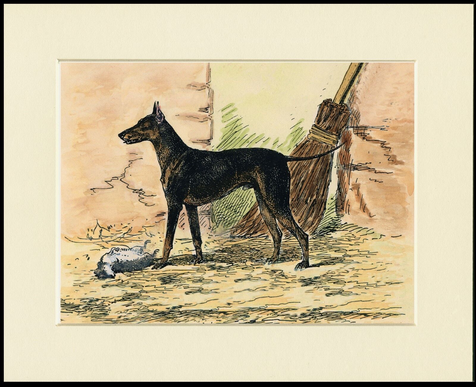 MANCHESTER TERRIER OLD STYLE DOG GREAT LITTLE DOG PRINT MOUNTED READY TO FRAME