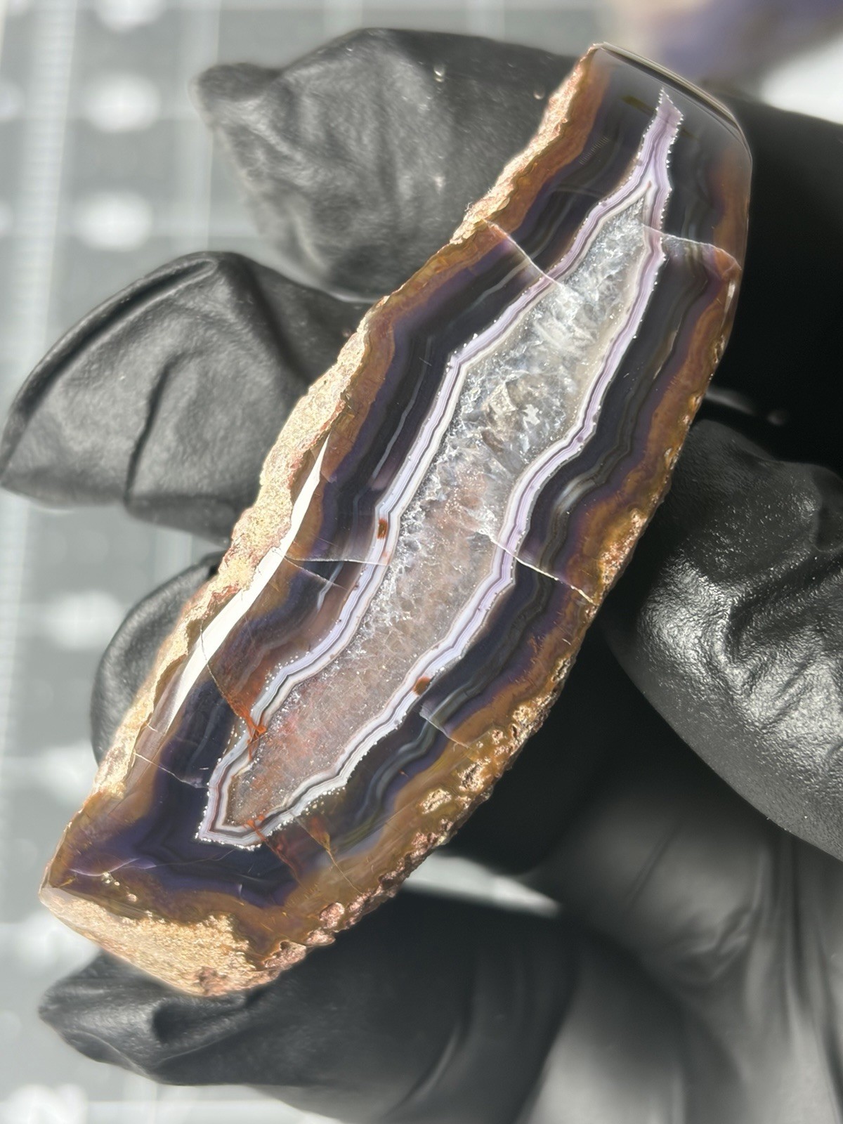 Rare Purple Passion Agate Contour Polished Banding