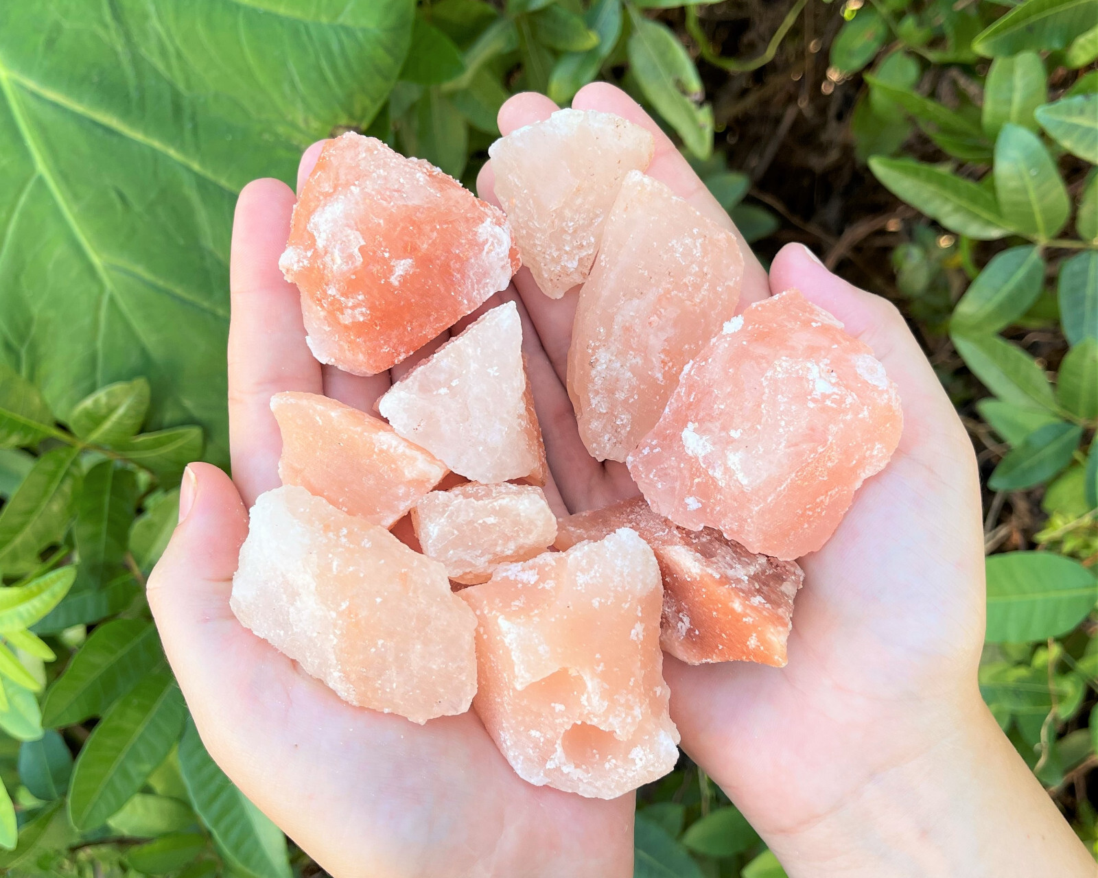 Natural Himalayan Salt Chunks: Choose How Many (Pink Salt Rock Crystals)
