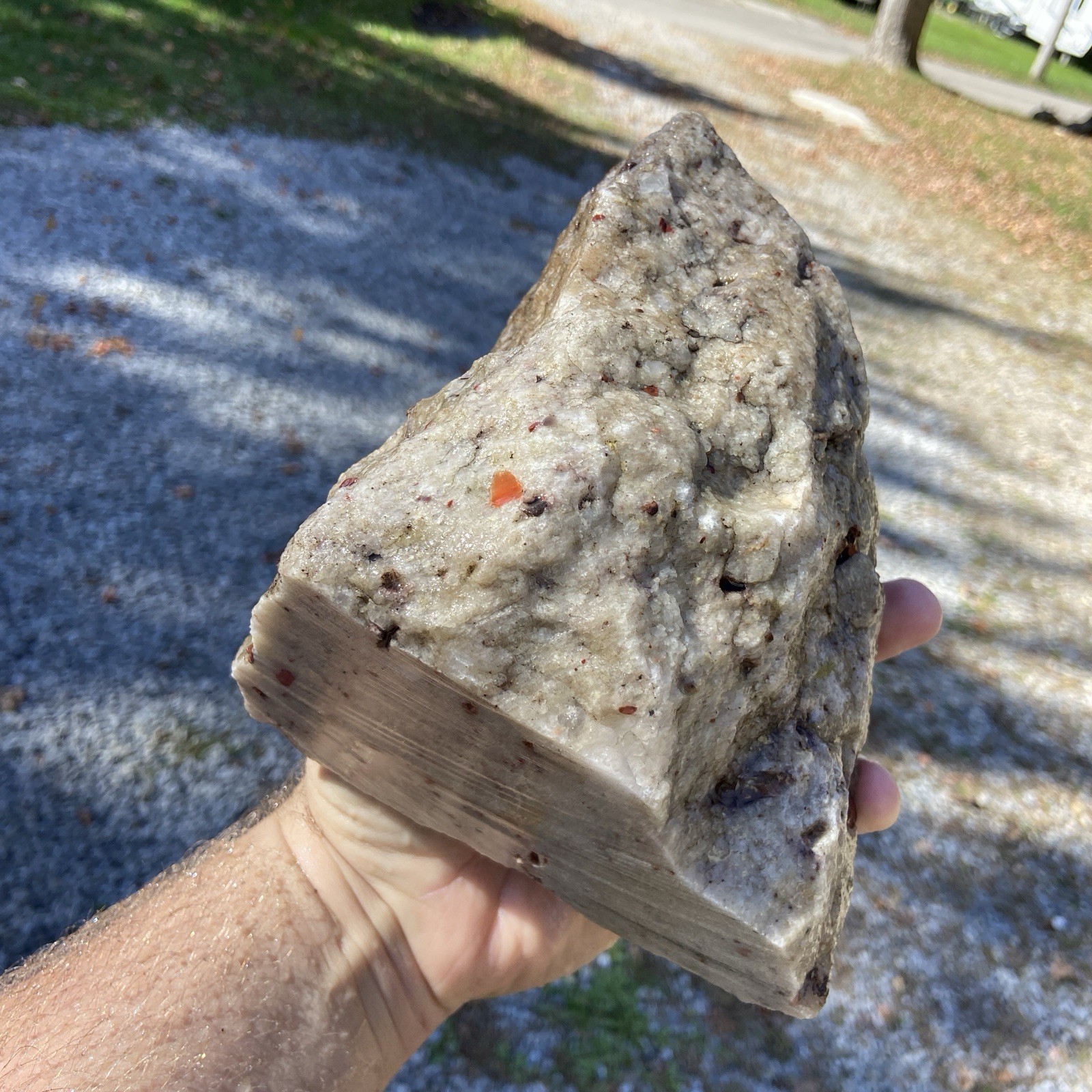 8 Pound 3.75 Oz Massive Pudding Stone Michigan Lapidary Conglomerate Stone