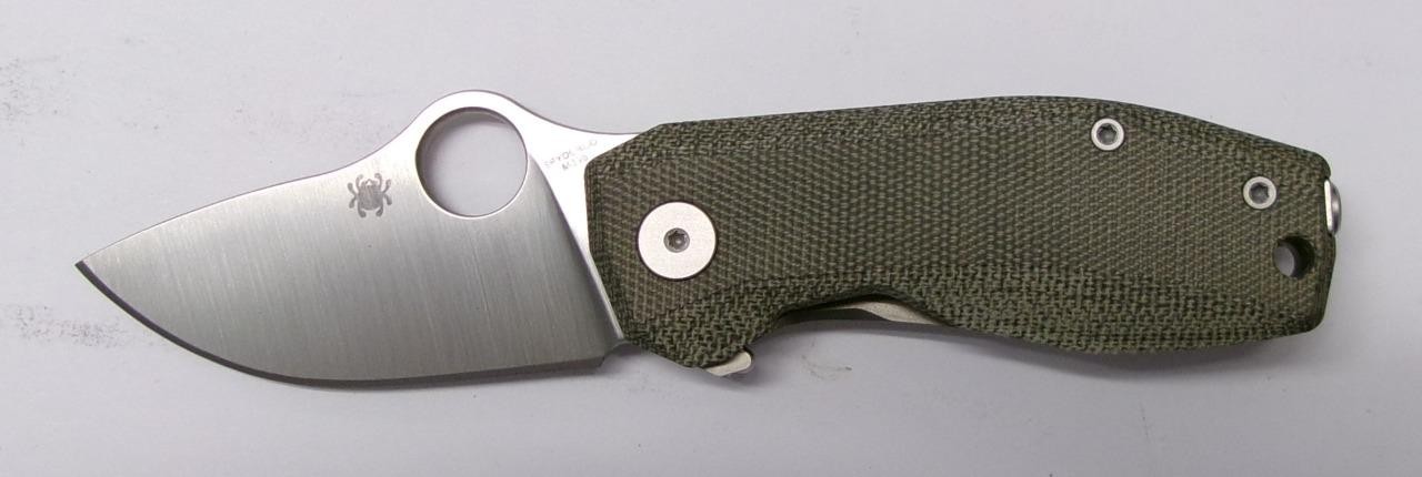 Spyderco C268MTIP SpyNano Flipper M398 Plain Titanium Lock Green Micarta NEW