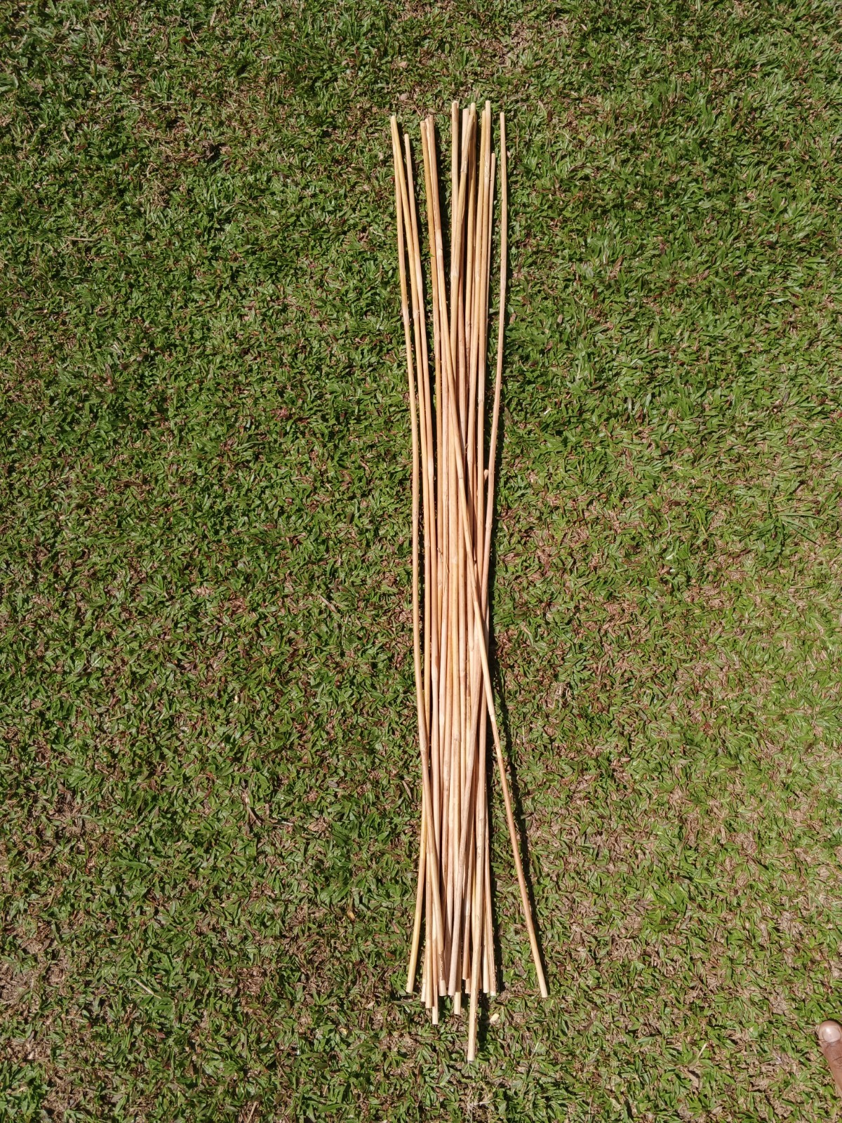Rattan Cane Fresh Sticks 3pcs / Flexible / Natural (0.5-0.6 cm D / 40\