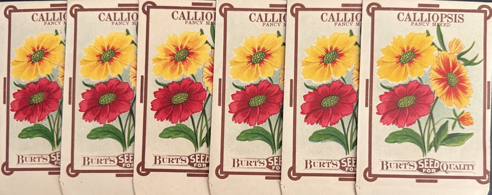 Antique c-1915 Lot of Six (6) Stone Lithograph Burt's Seed Packets “NOS”